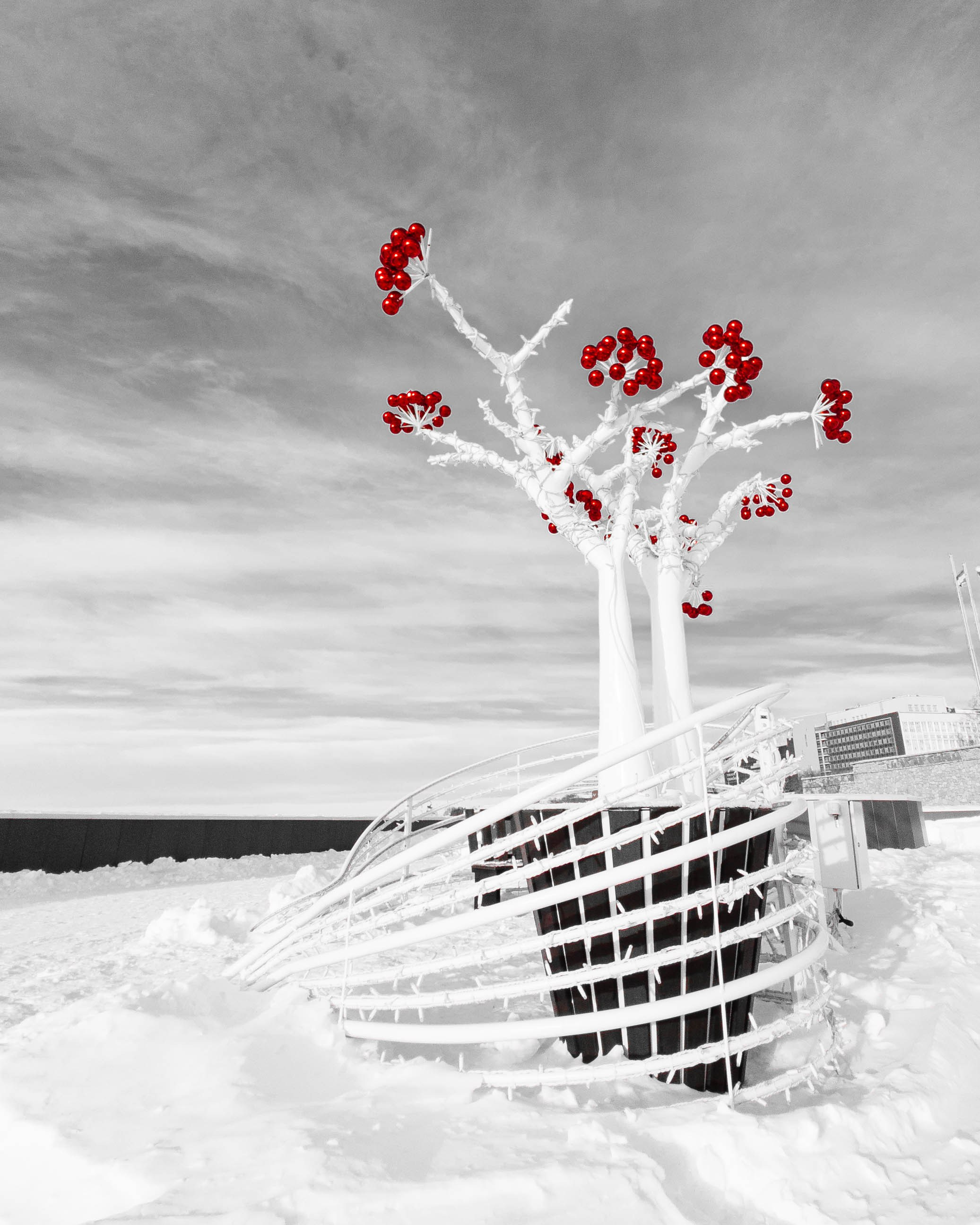 RED. Красный и точка. Олег Романов. Мастер фото по спорту