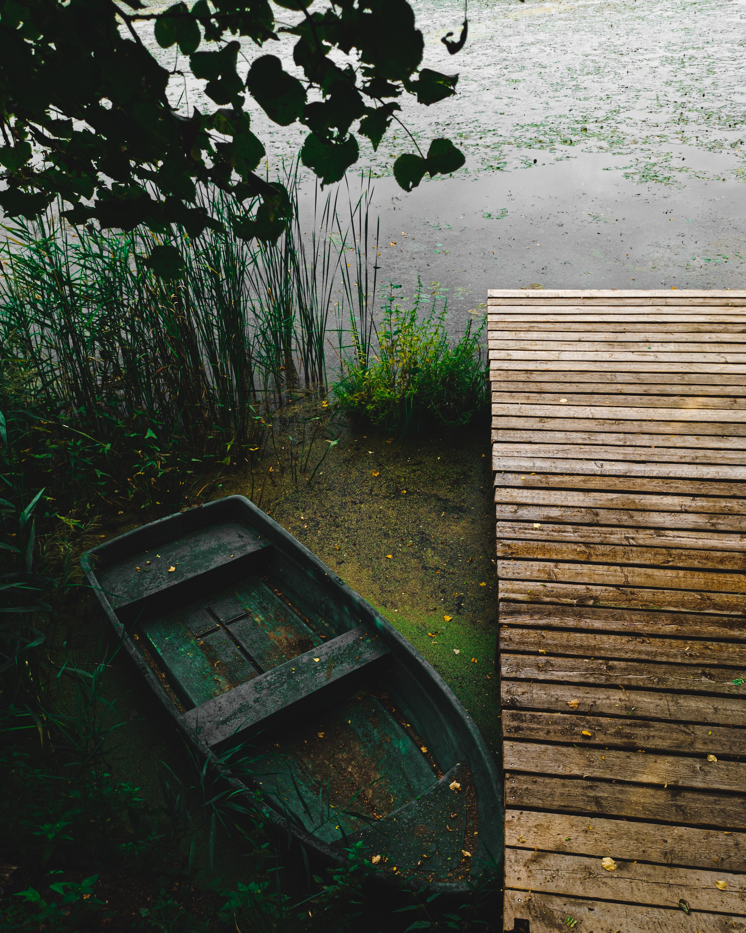 Эстетика ебеней. Олег Романов. Мастер фото по спорту