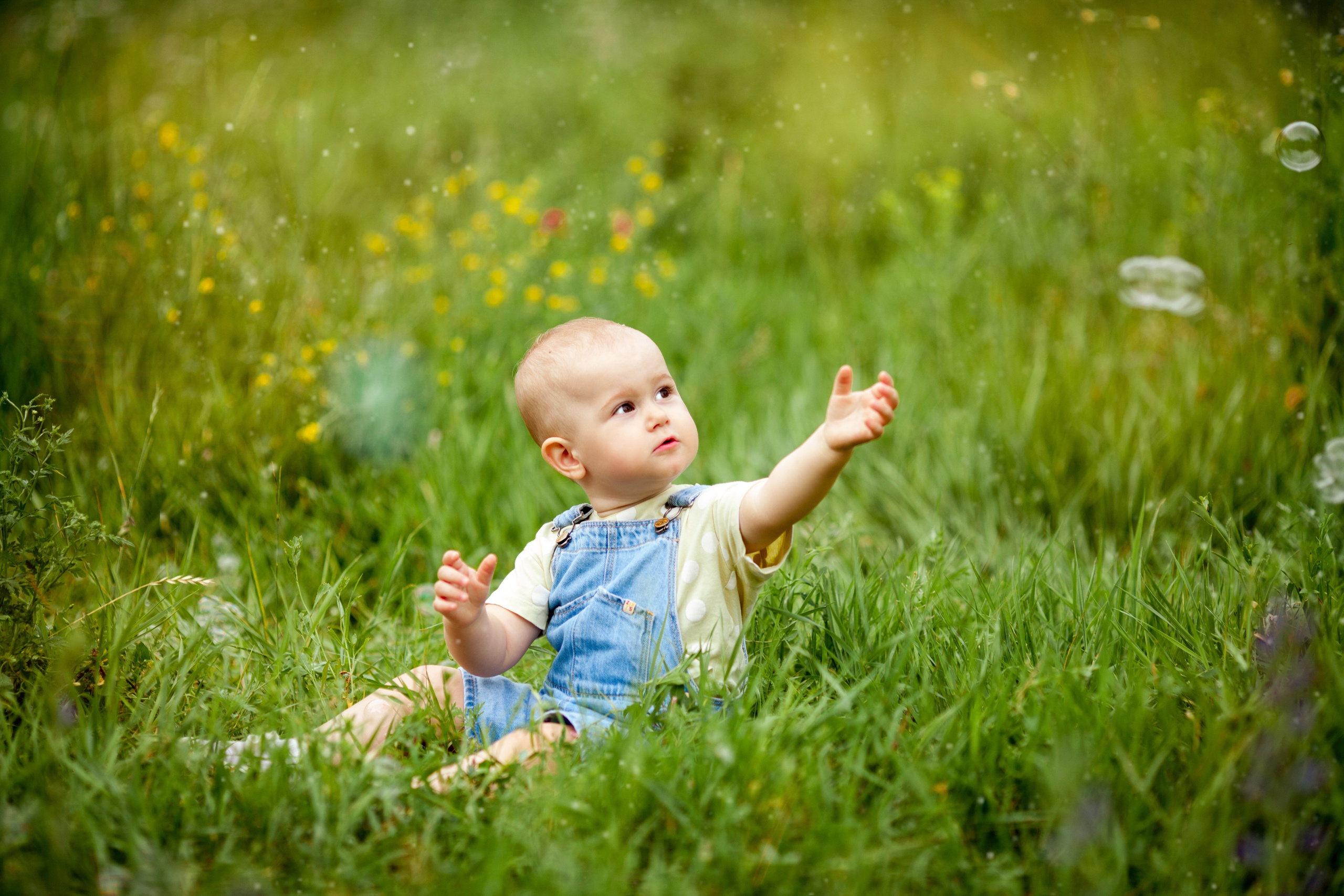 Семейное. Главная