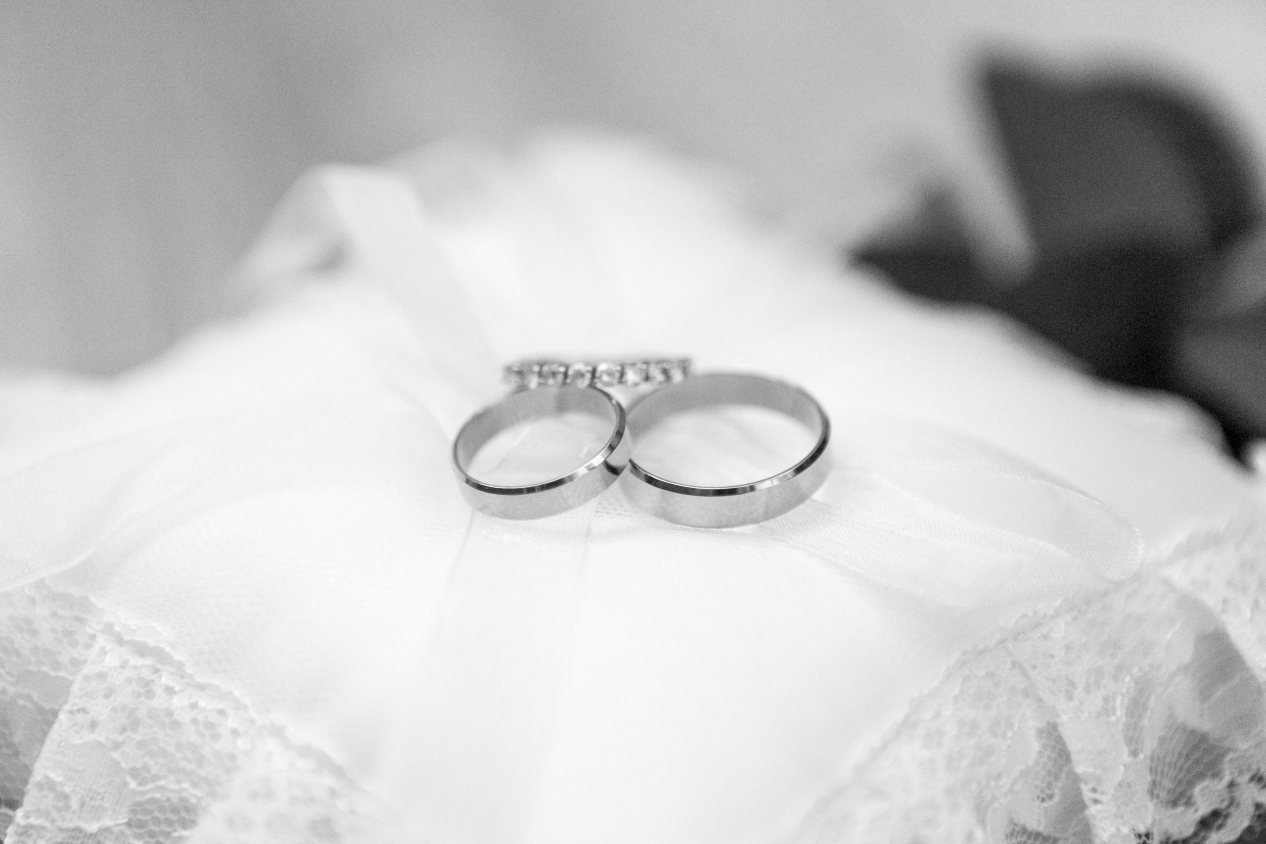 Олег и Екатерина. Фотограф Светлана Ермалюк • Томск • Новосибирск