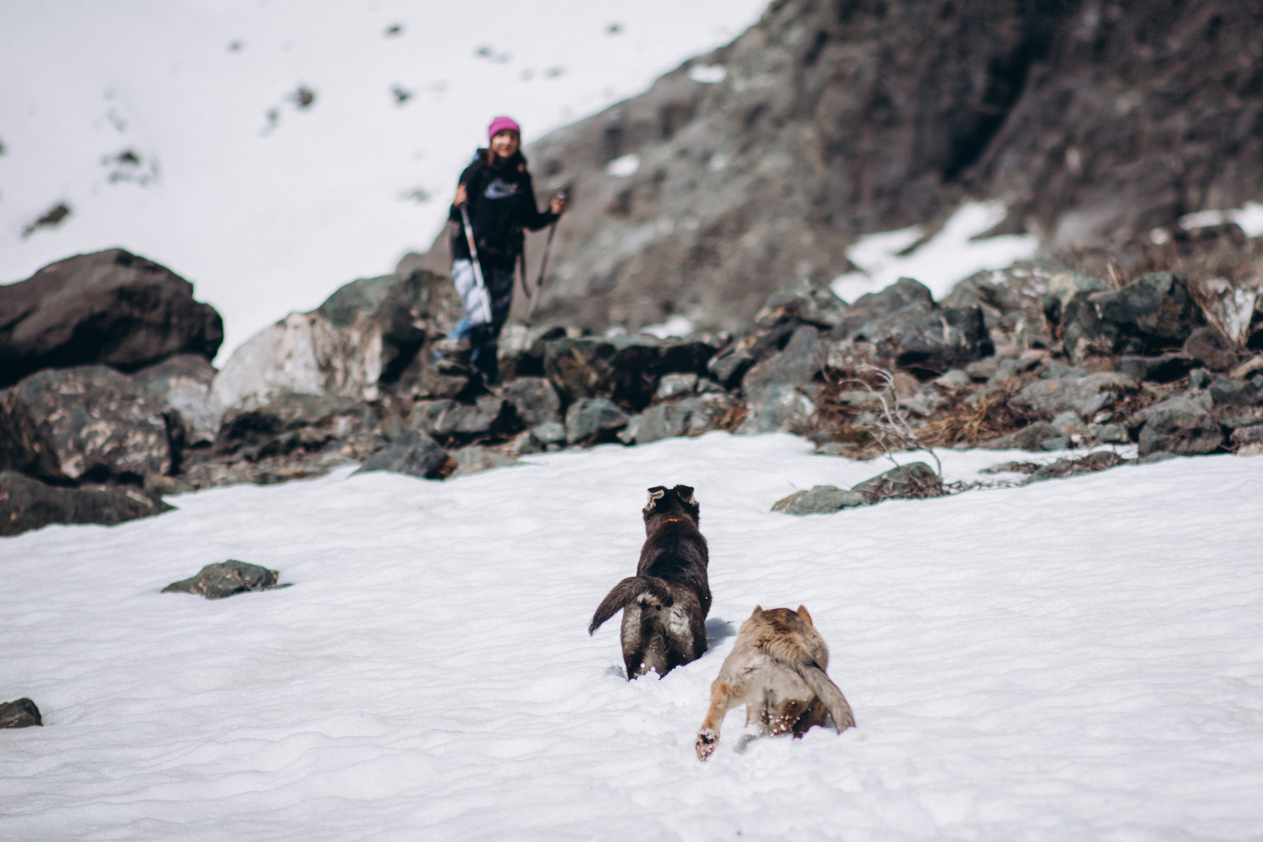 Алтай. Фотограф Светлана Ермалюк • Томск • Новосибирск