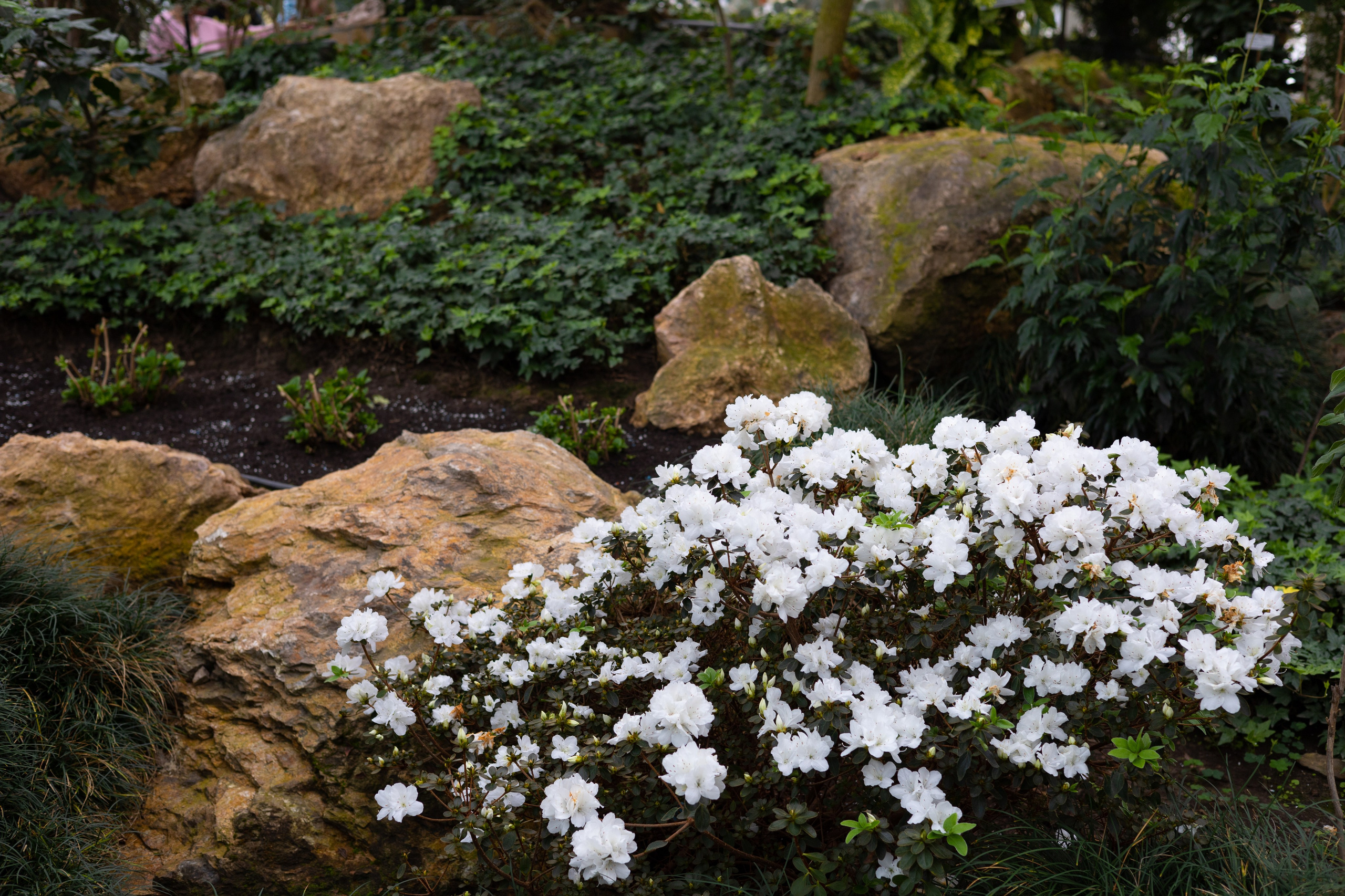 Secret Garden. ITMAG.ME | Visual Art