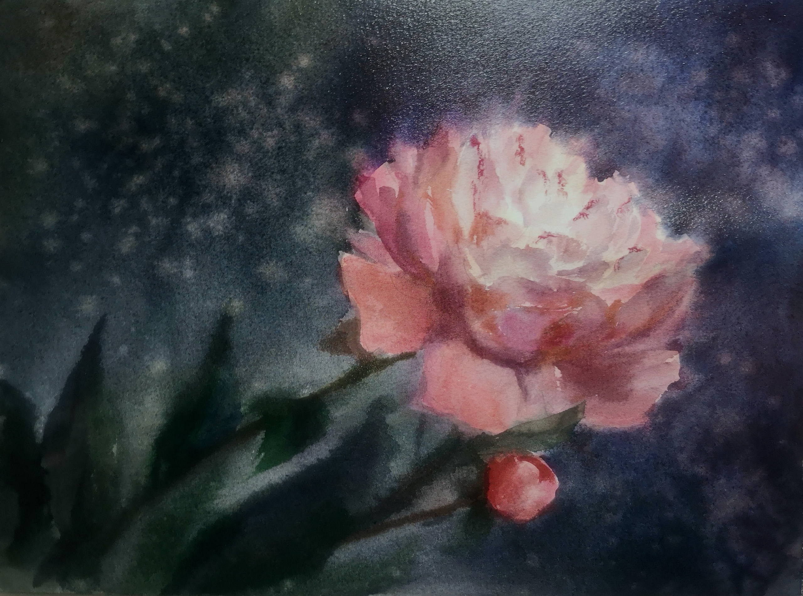 Живопись. Фотограф Трынкова Татьяна