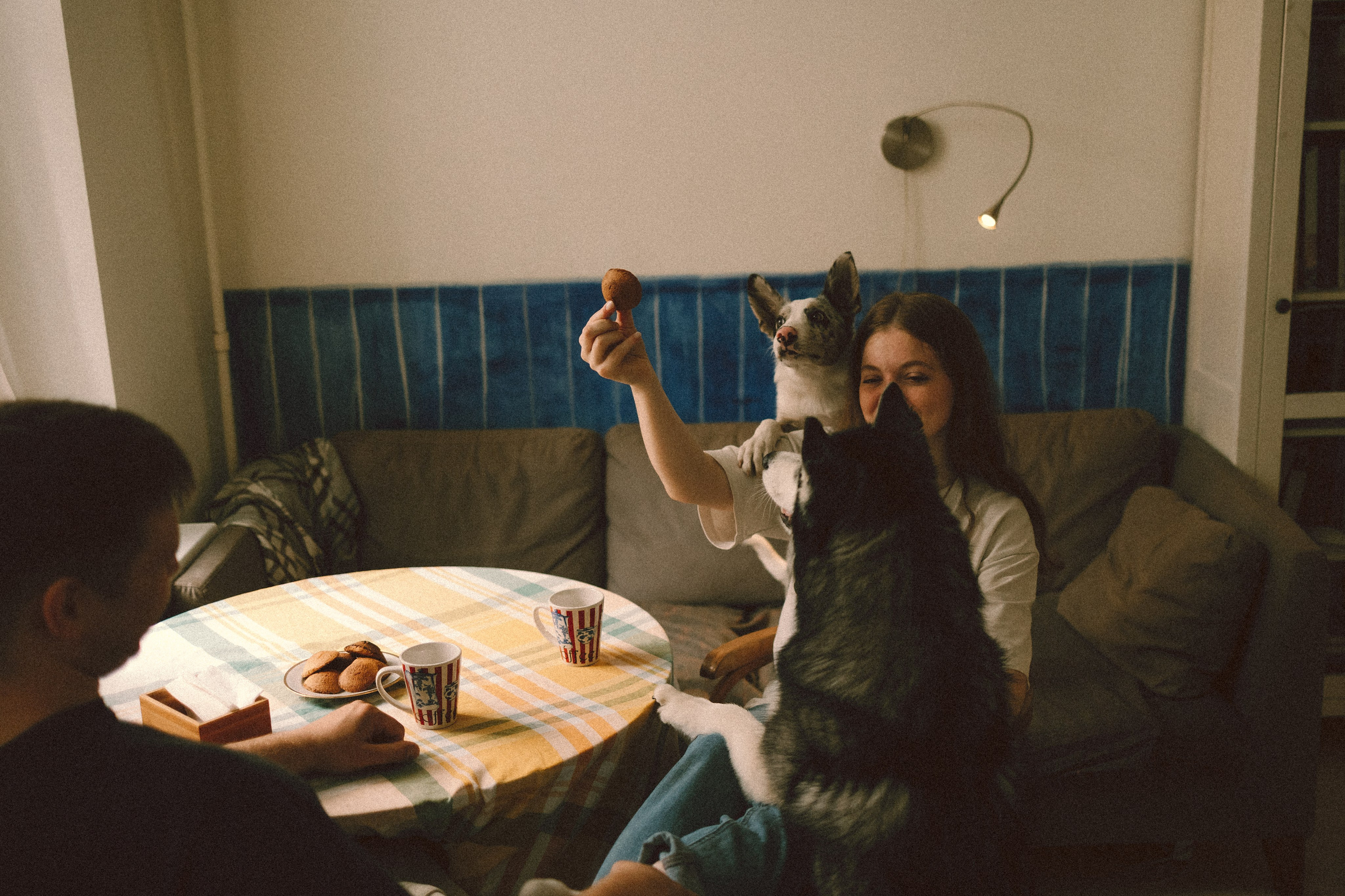 Ника, Снейп, Кеби, Лиля и Никита. Фотограф анималист Анастасия Пикей