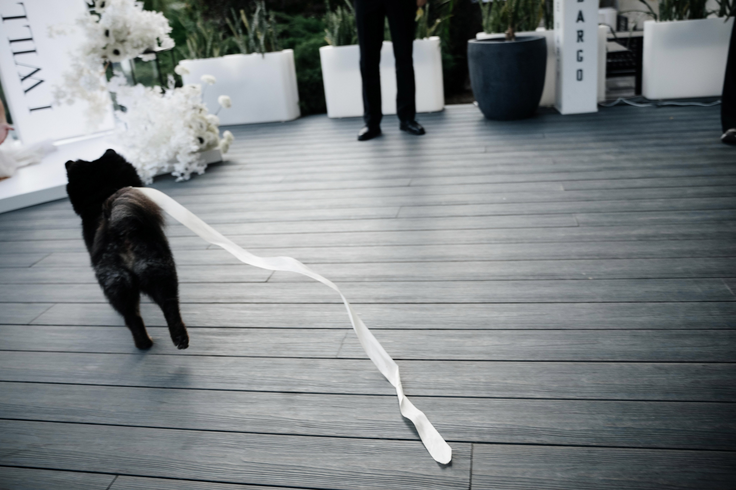 Антон + Валерия. Свадебный фотограф Владимир Рябков