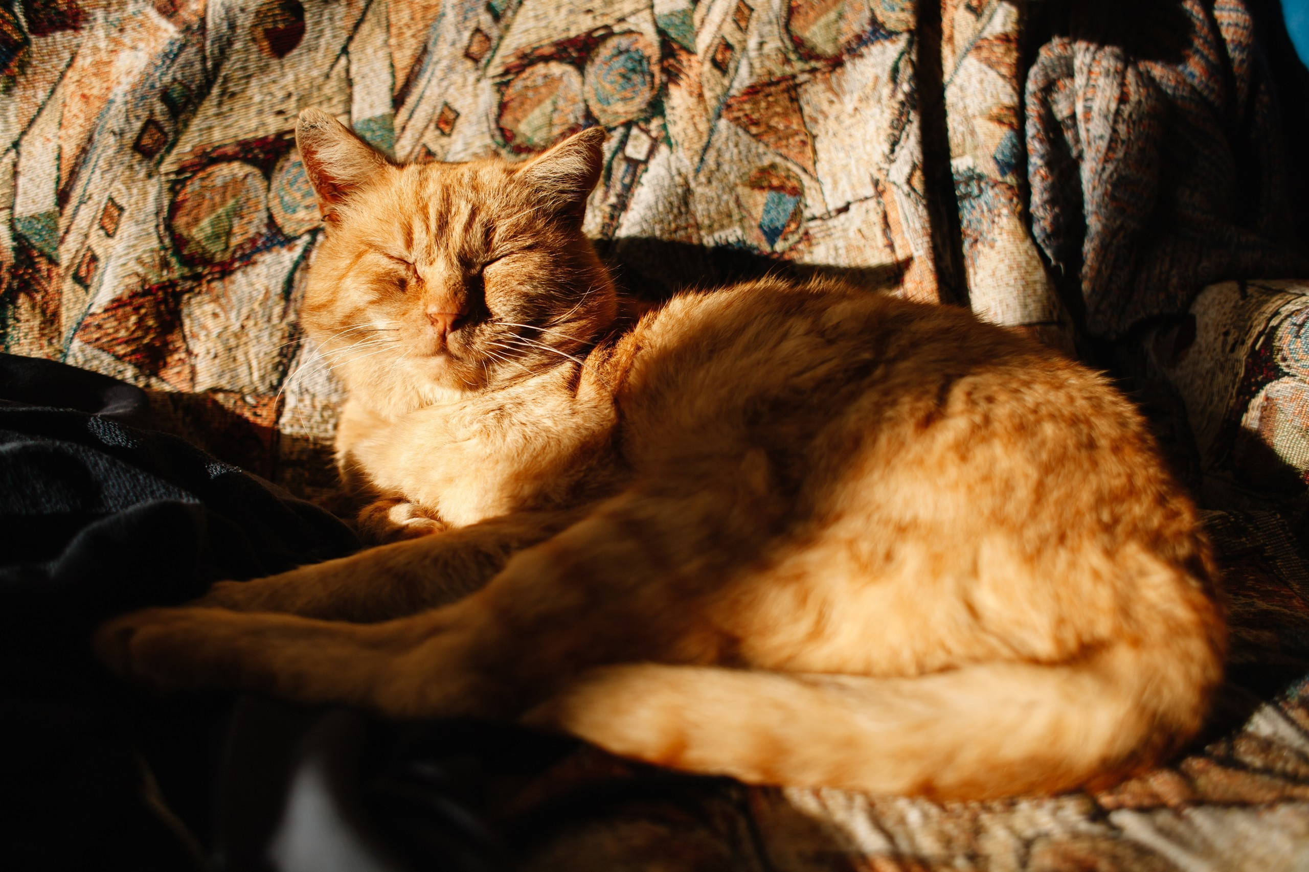 Тульский Снеговик Гуамка. Семейный и свадебный фотограф в Майкопе Михаил Мартиросян