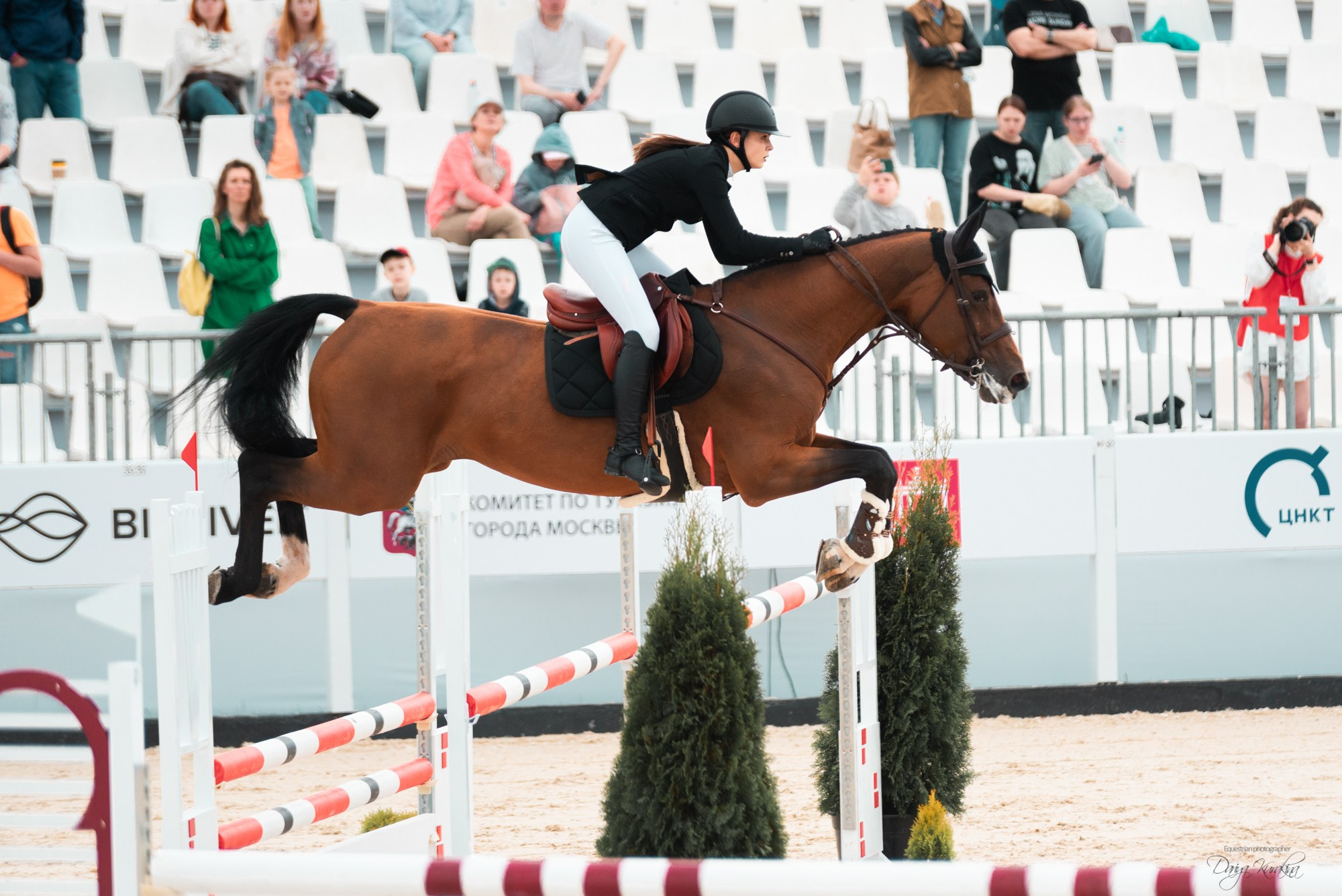 BITRIVER CUP 2023. Конный фотограф Куракина Дарья • Фотосессии с лошадьми