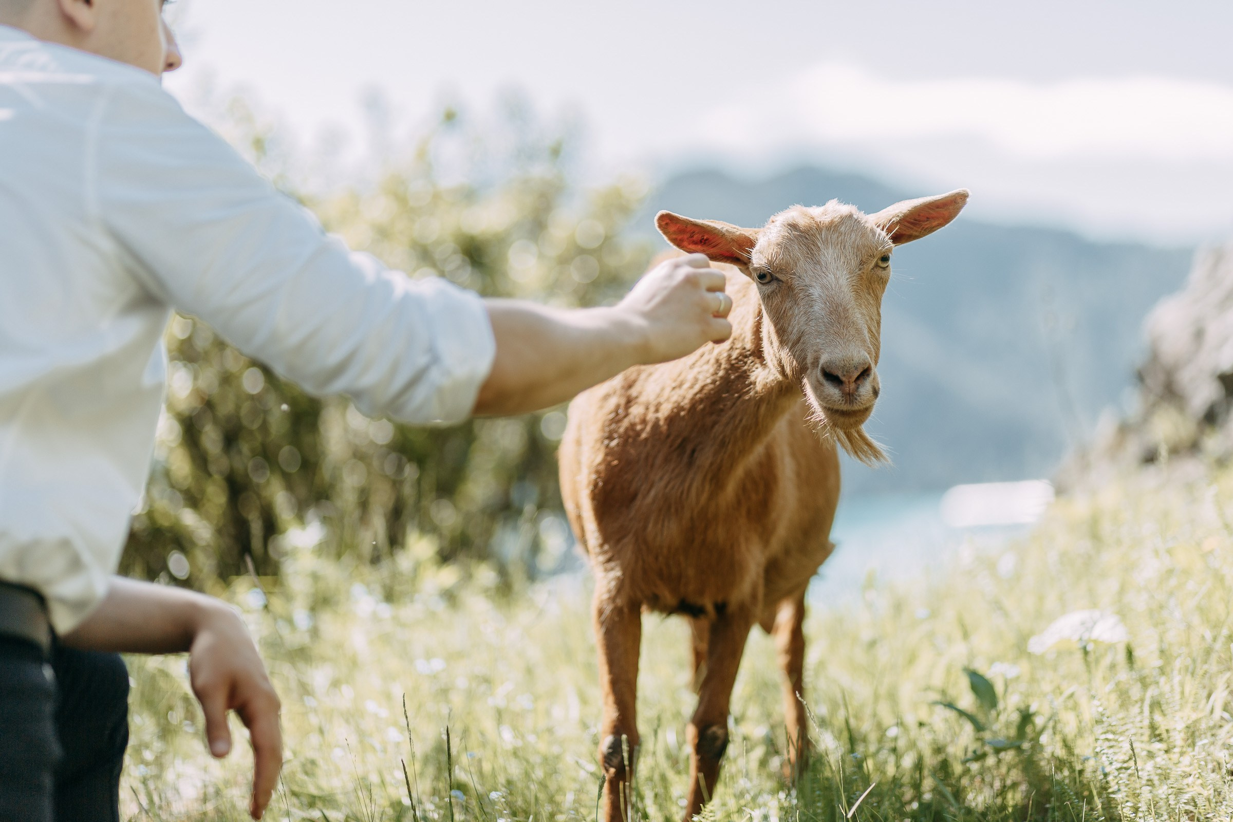 «Мы в отпуск едем в Манжерок. Хотим съёмку рядом с базой». Фотограф Любовь Щербинина