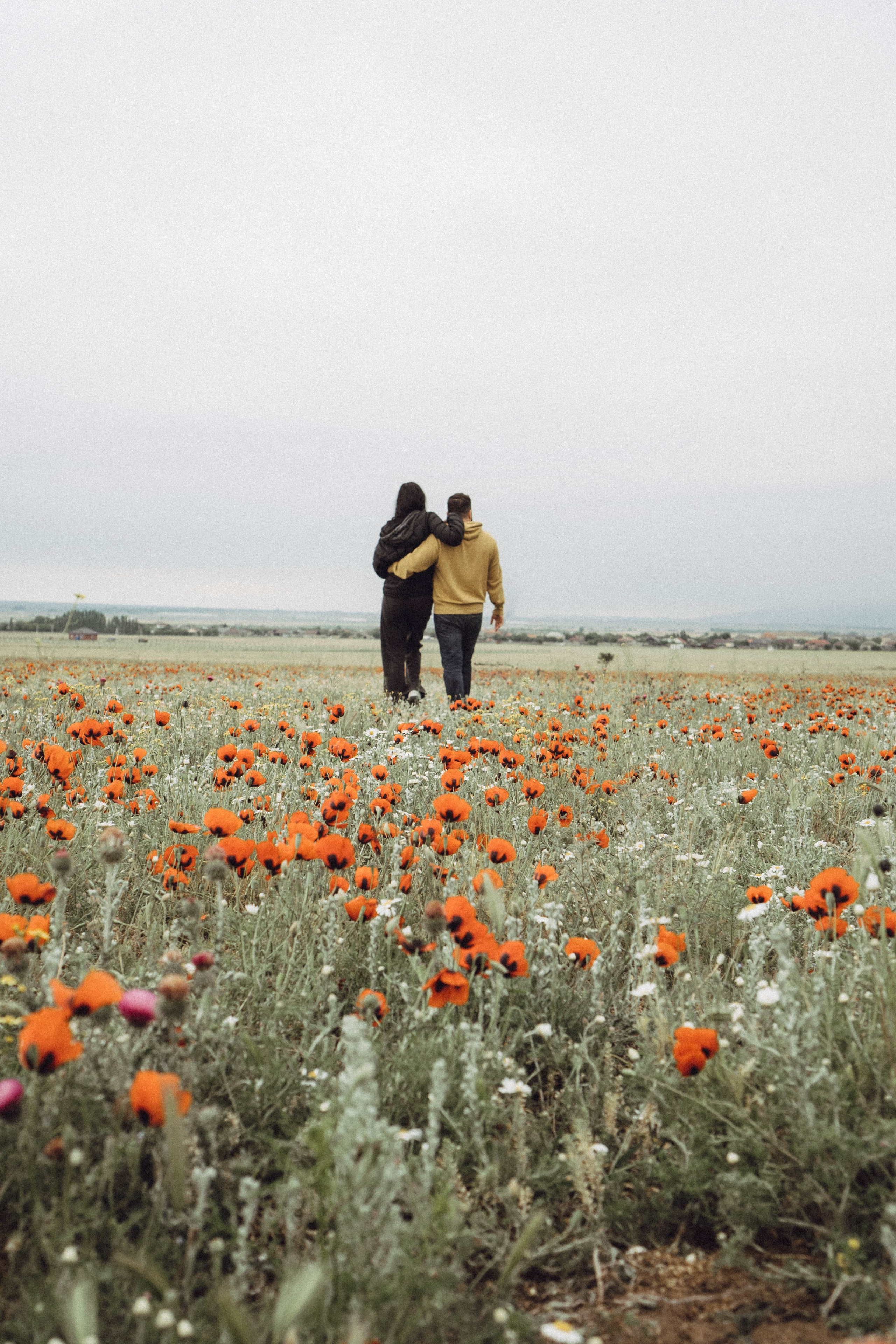 Любовь в маковом поле. Профессиональный фотограф, Санкт-Петербург — Виктория Богомолова
