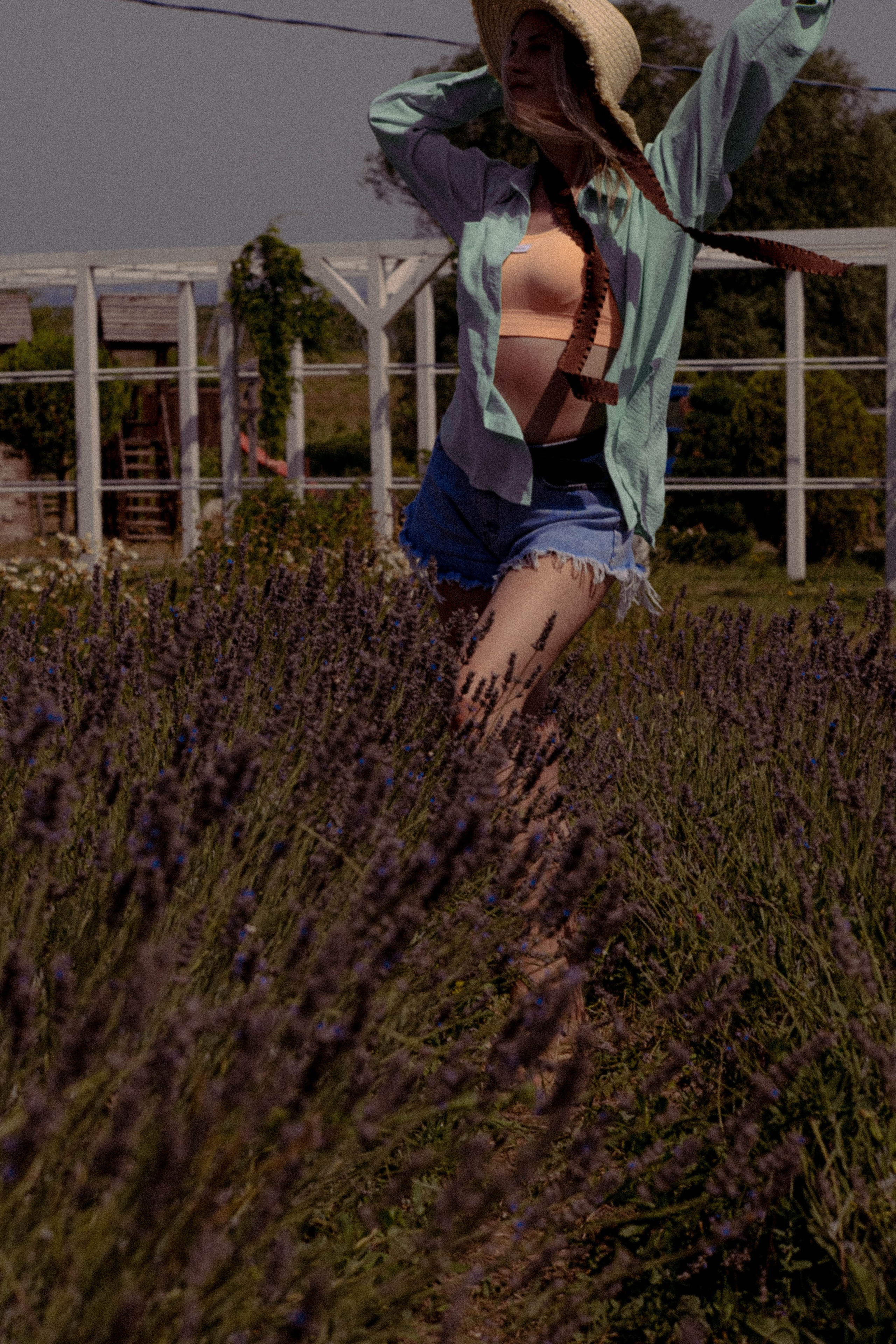 ЛАВАНВОДОВОЕ ПОЛЕ. Профессиональный фотограф, Санкт-Петербург — Виктория Богомолова