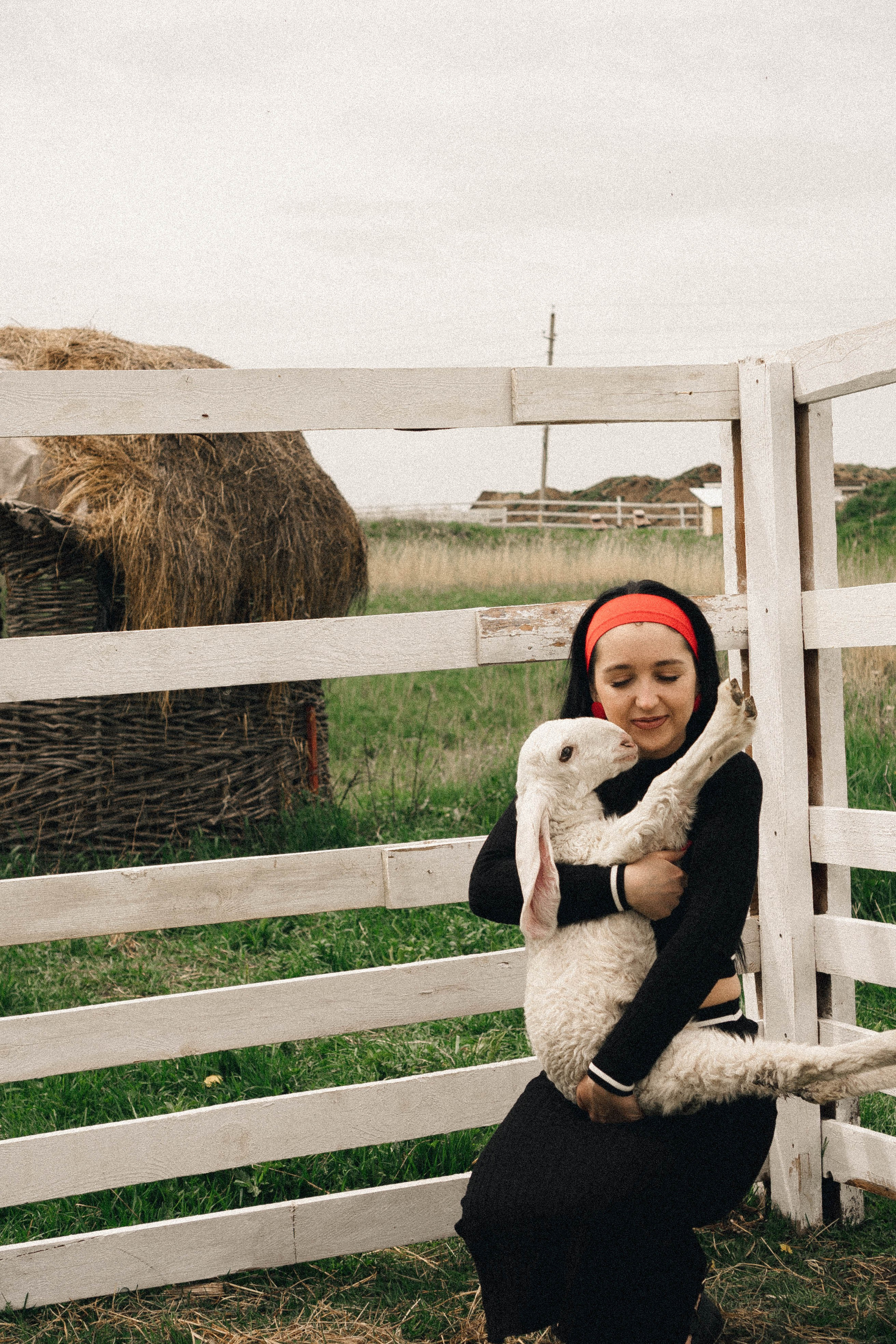 Ферма Альпак. Профессиональный фотограф, Санкт-Петербург — Виктория Богомолова