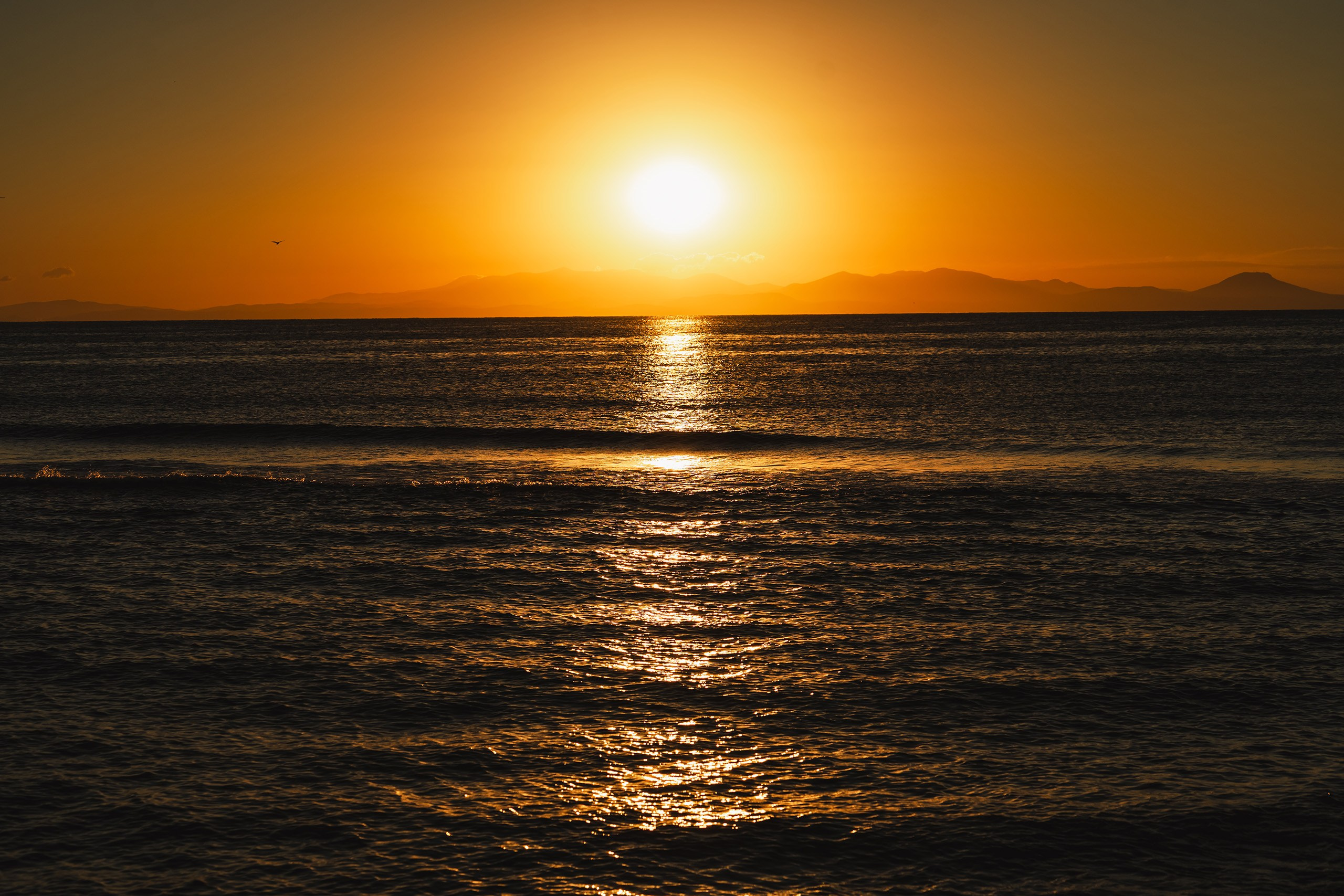 Проект сёрф лагерь Swell. Иван Зайцев (IZIART) — визуальные истории для брендов, людей и мест