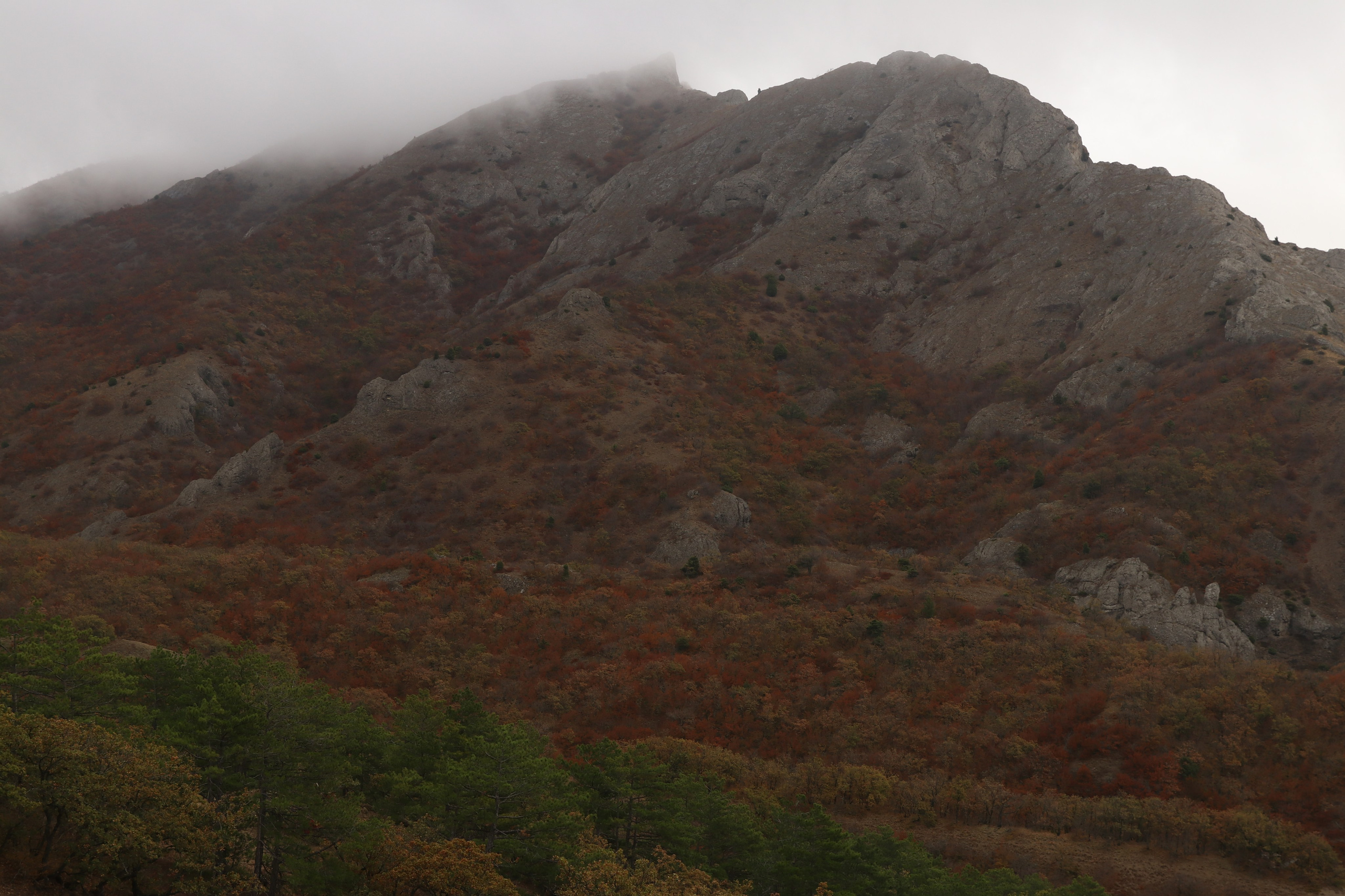 Крым. ЮБК (Гурзуф, Судак и их окрестности). Ноябрь 2023. Путешественник-фотограф из Санкт-Петербурга Татьяна Свистулина