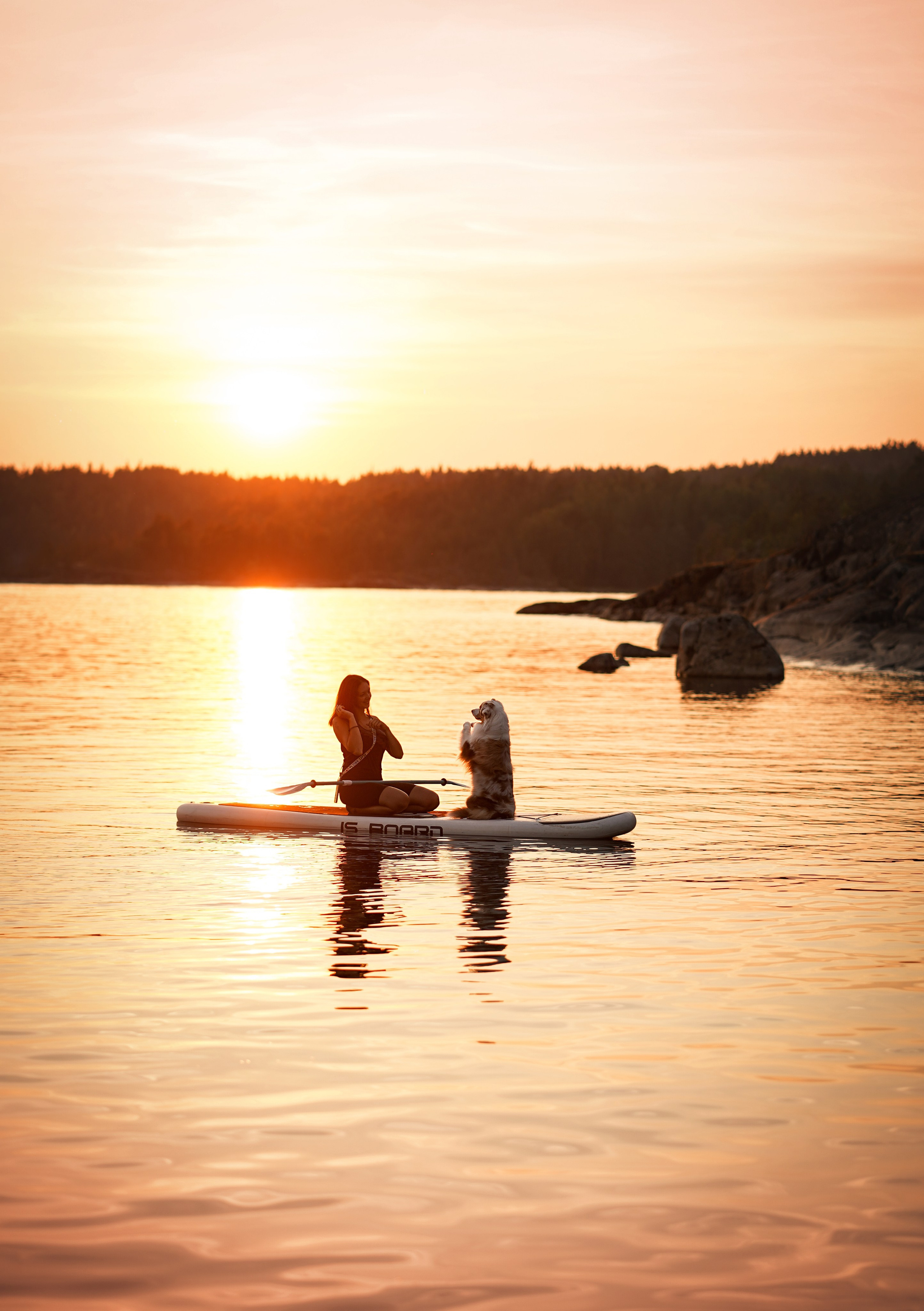 Панда SUP. Фотограф-анималист в Санкт-Петербурге Яна Мартынова