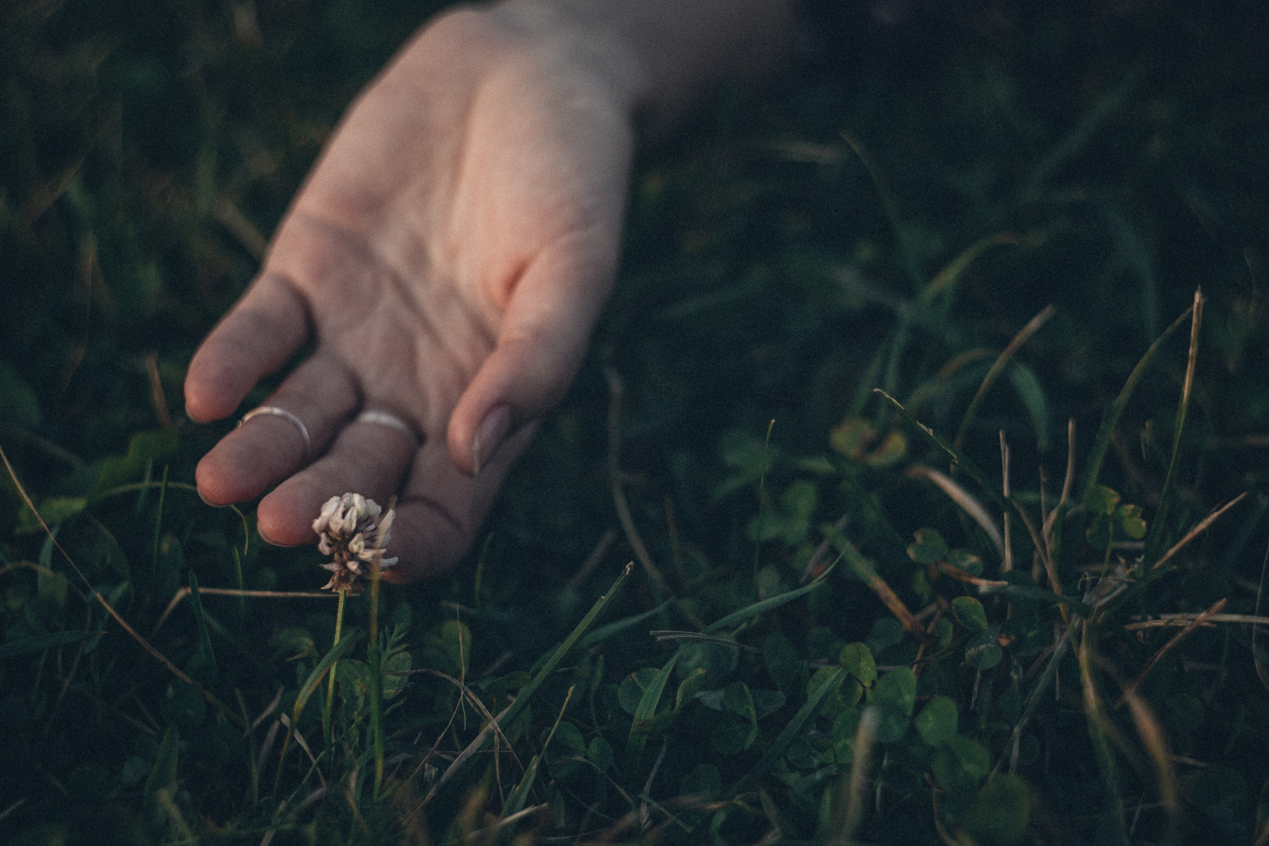 . Фотограф Москва