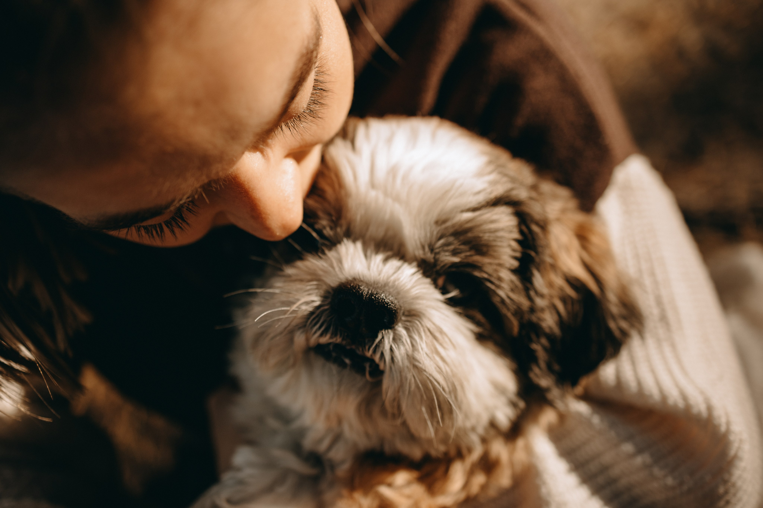 Настя и Франт. Фотограф — Анималист | Санкт-Петербург