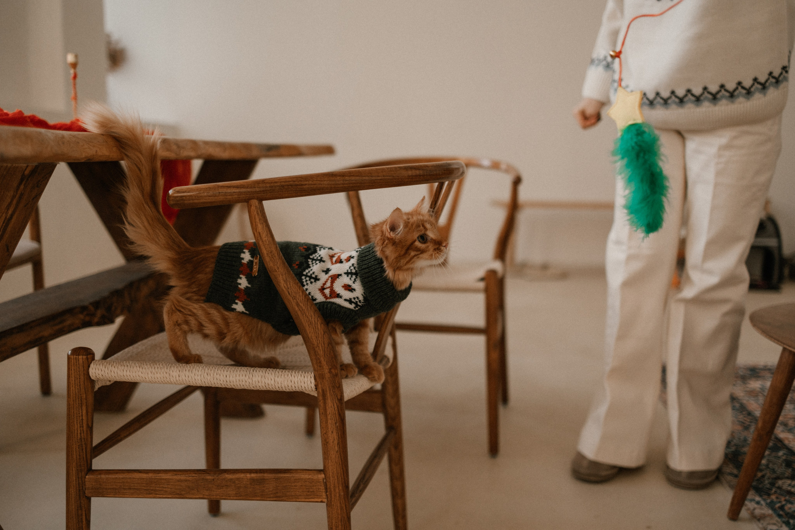 Камилла и ее девочки. Фотограф — Анималист | Санкт-Петербург