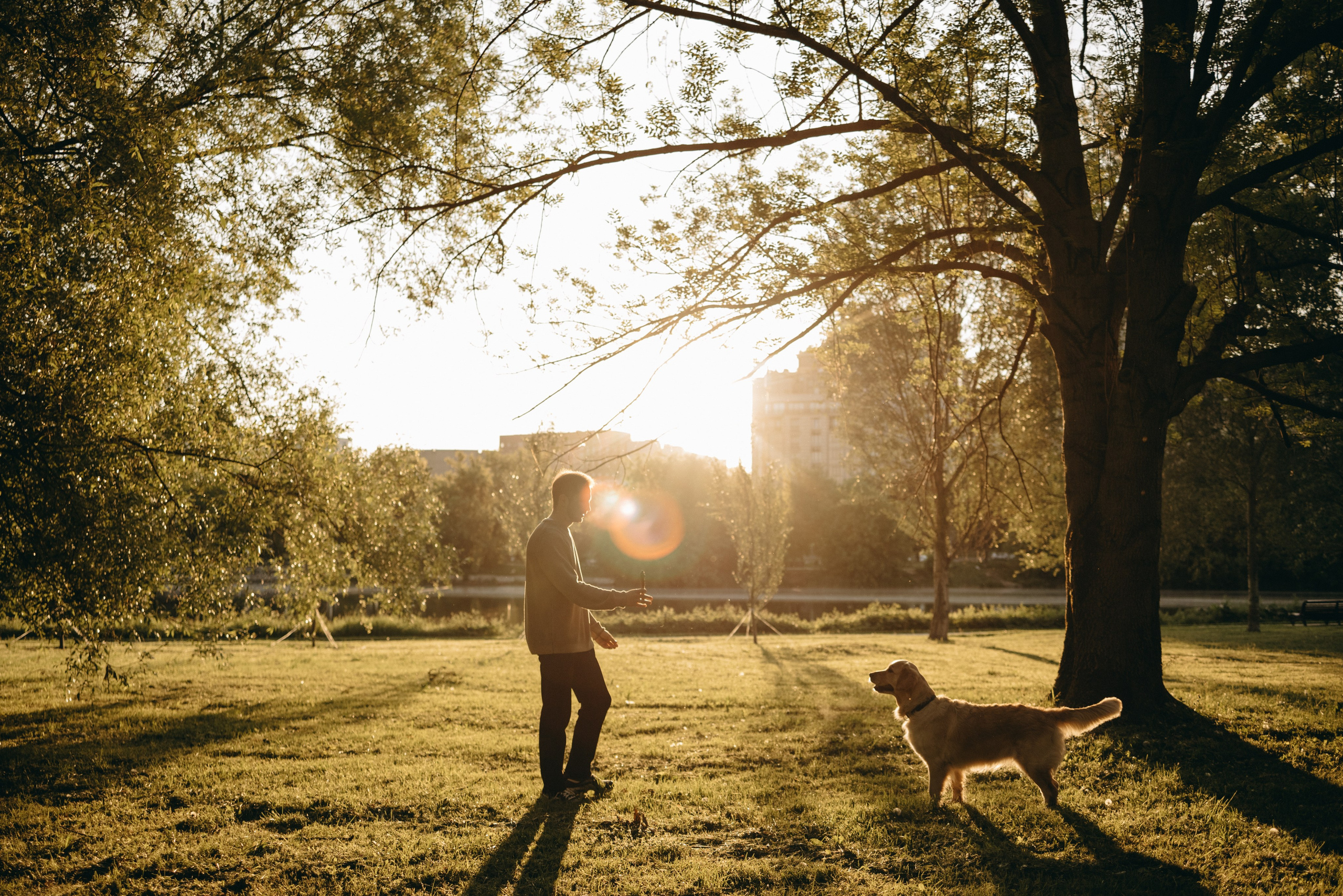 Пенни и ребята. Фотограф — Анималист | Санкт-Петербург