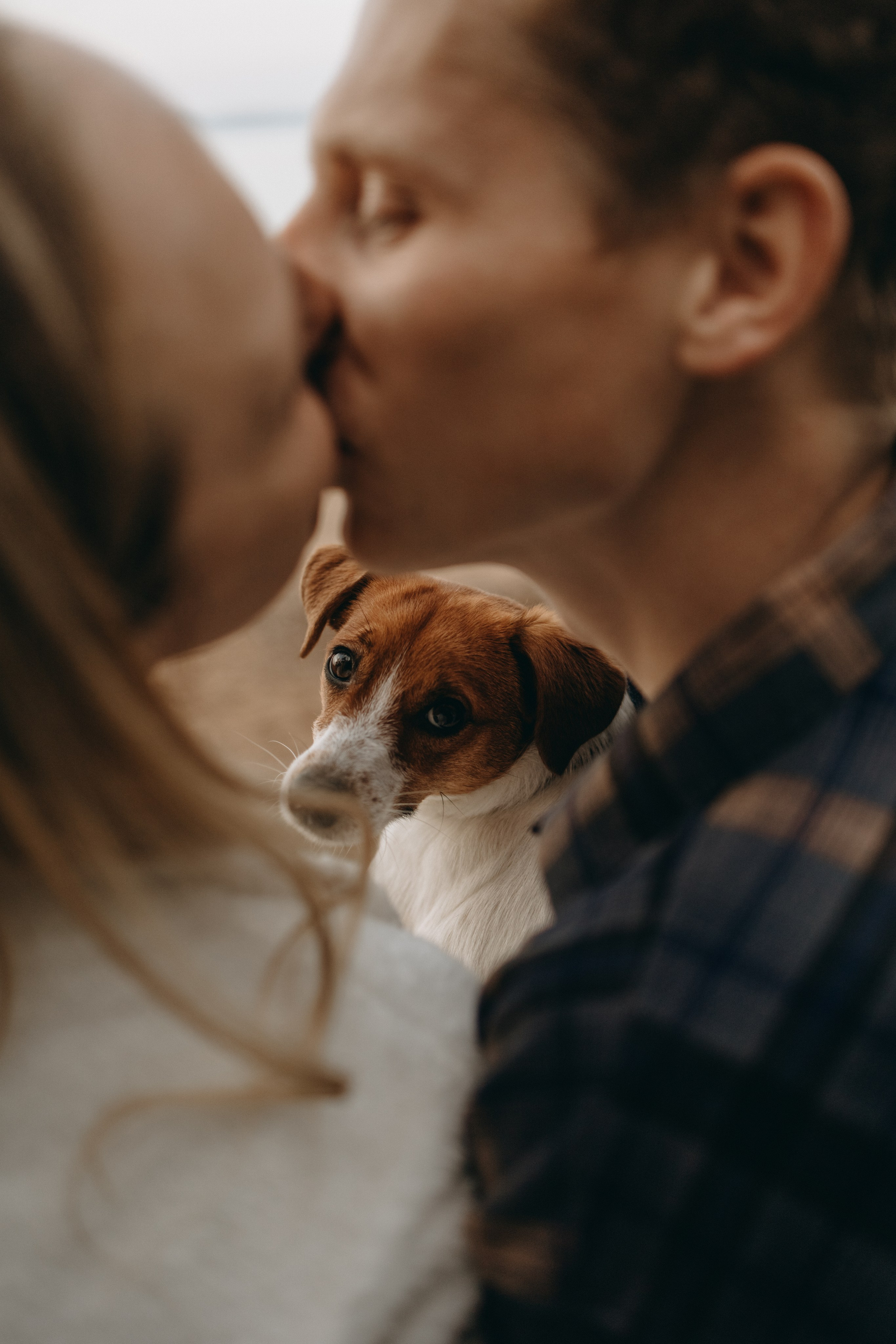 Лея и ее семья. Фотограф — Анималист | Санкт-Петербург