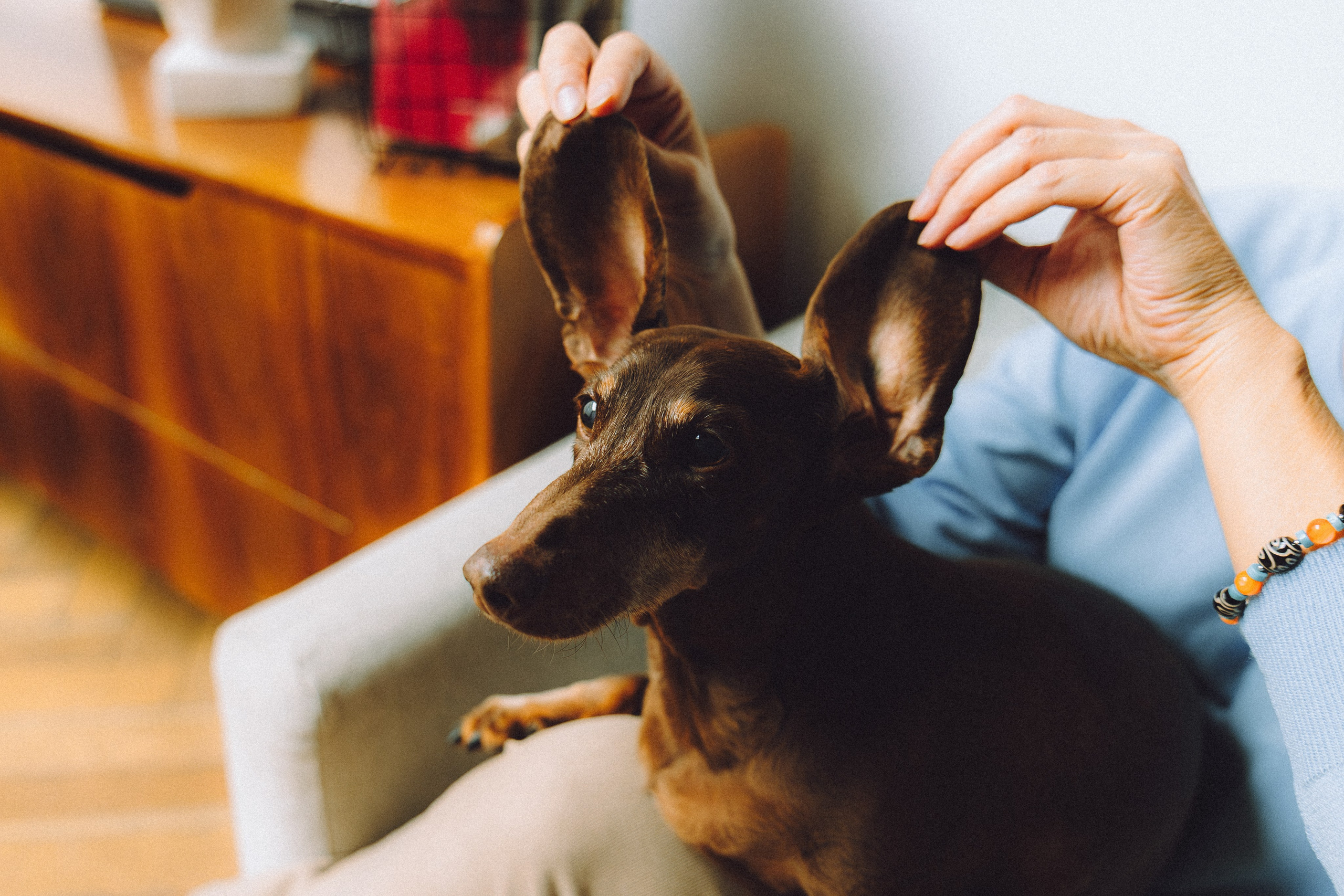 Кокос, Света, Динара и Вилли