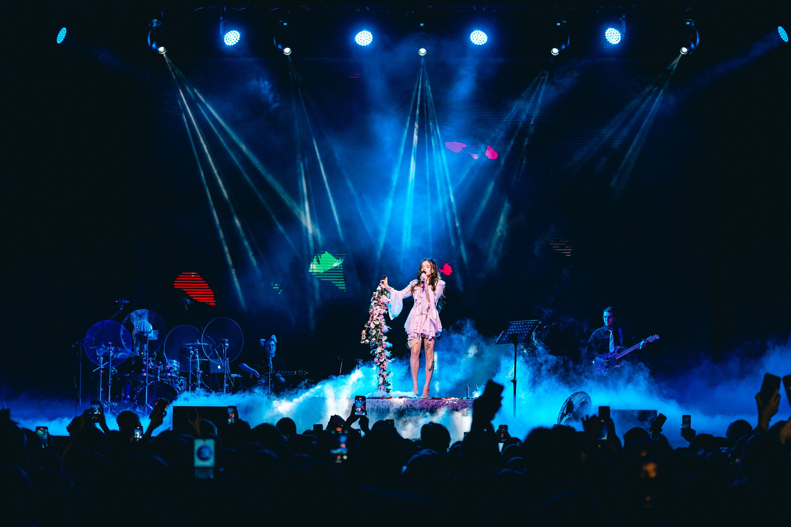 Алена Швец. Магия музыки в кадре: Концертная Фотография