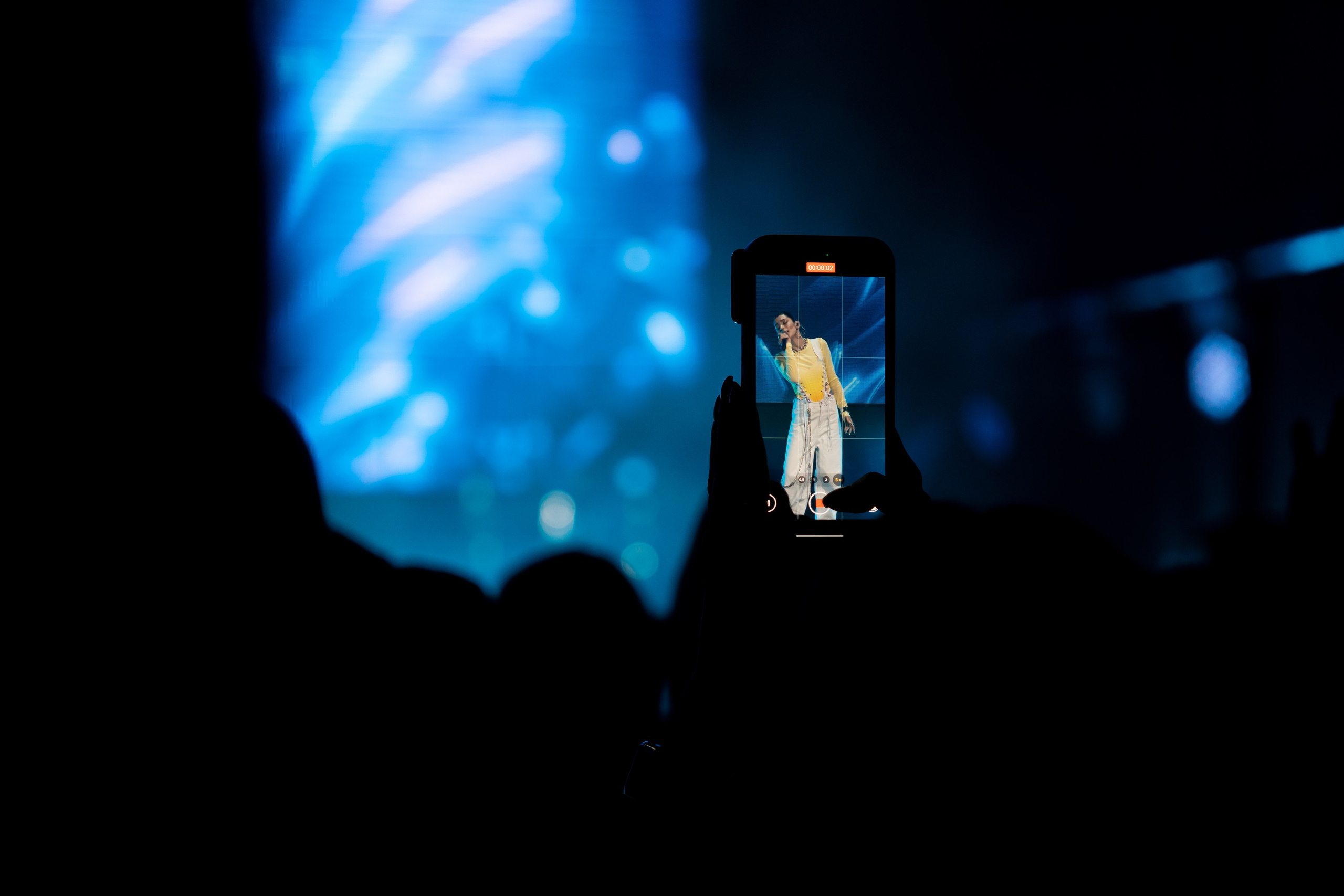 Gayana. Магия музыки в кадре: Концертная Фотография