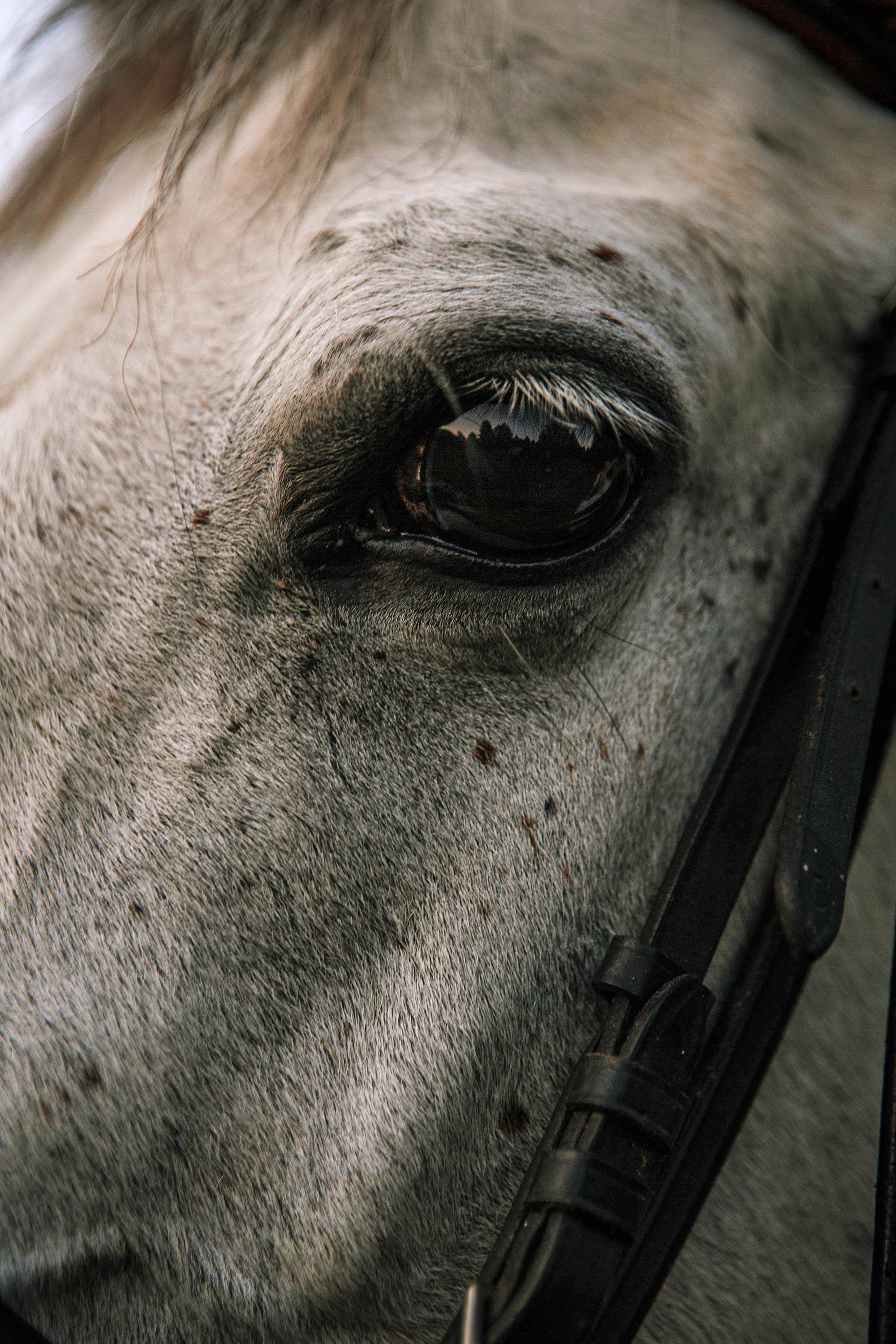 Rustic. Фотограф Александра Кузнецова