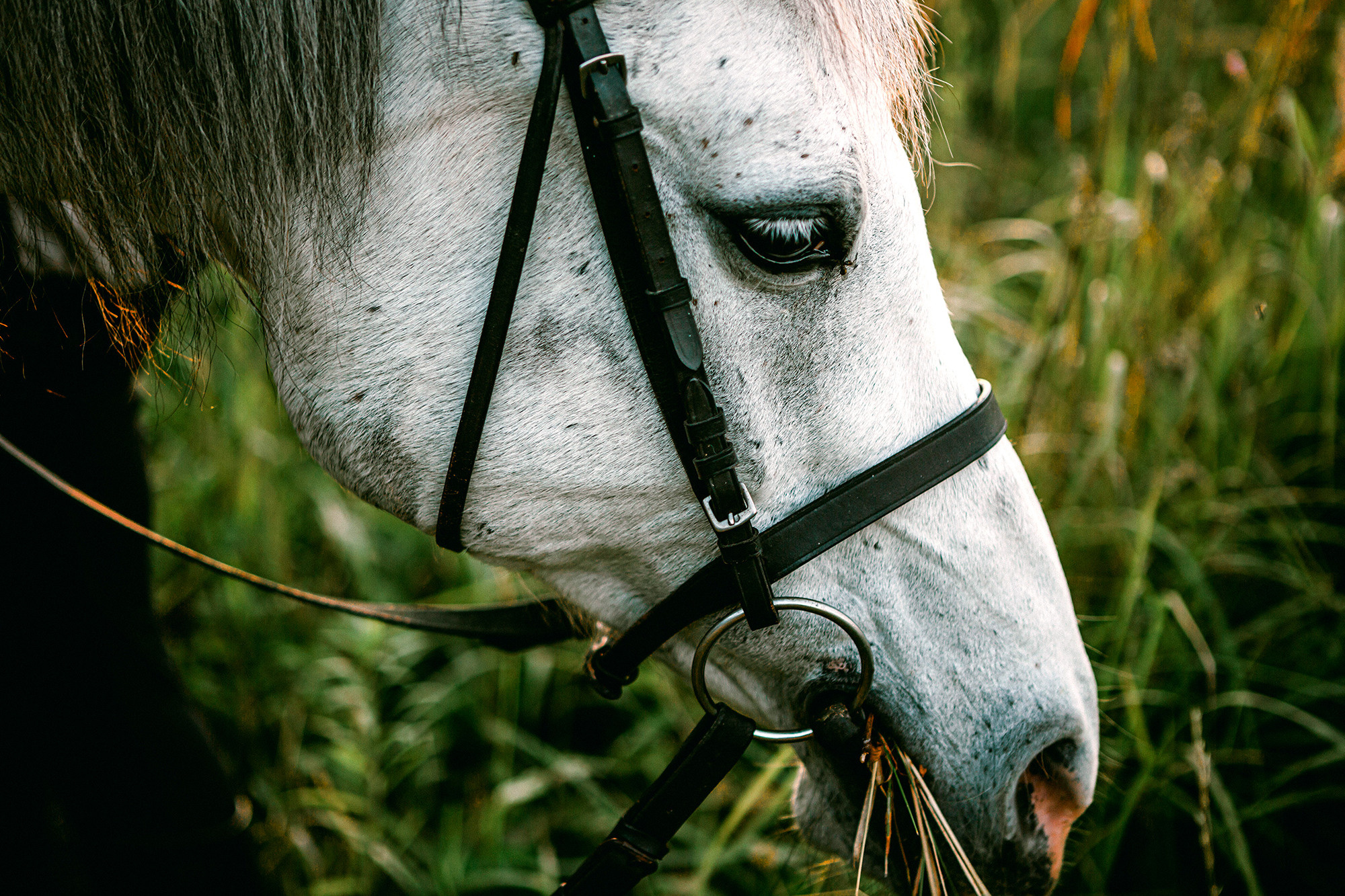 Rustic. Фотограф Александра Кузнецова