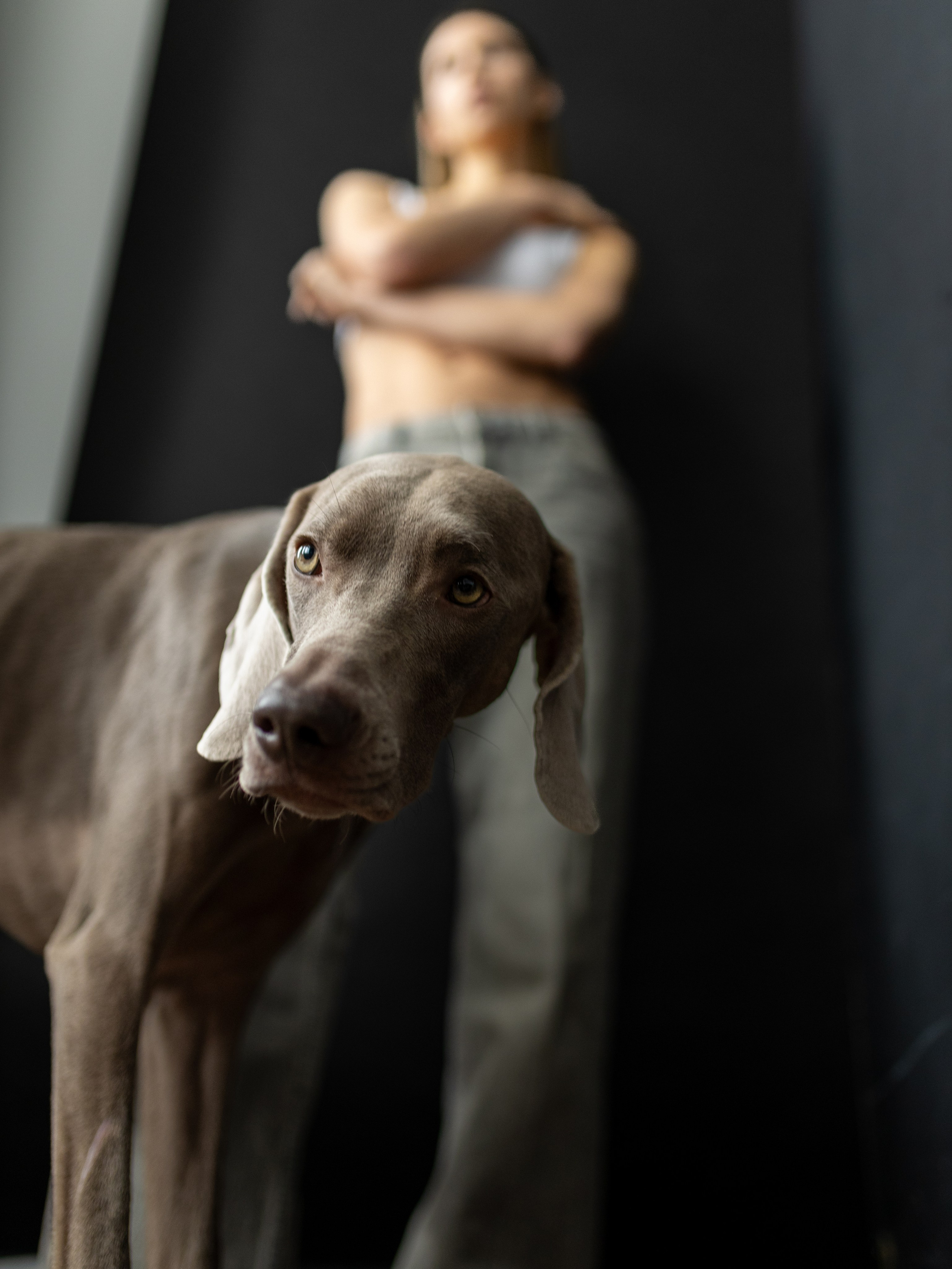 Сенча и Даша. Фотограф-анималист в Москве Кириллова Татьяна