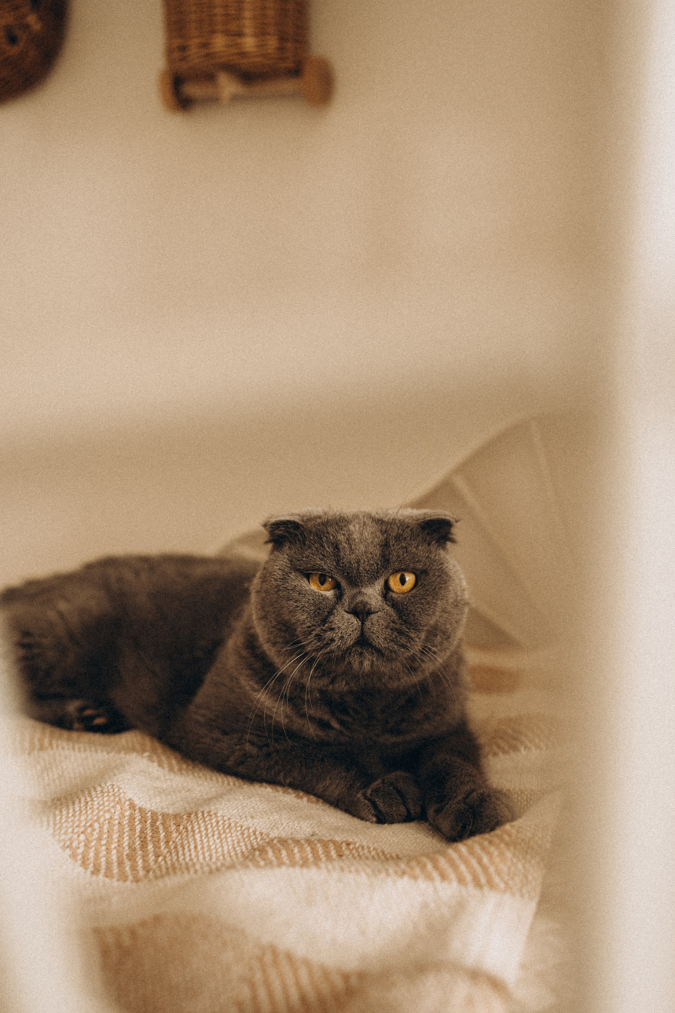 Ньюборн дома. Семейный фотограф в Мурманске Екатерина Юшкова