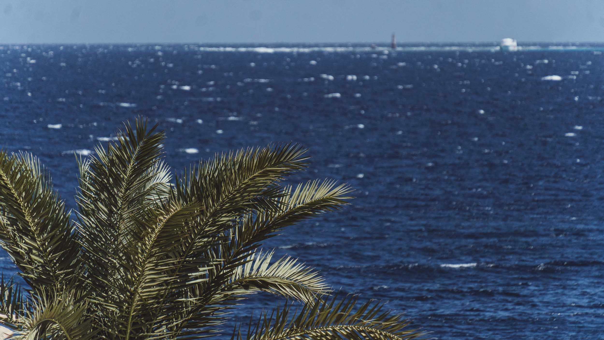 Egypt. The Andris
