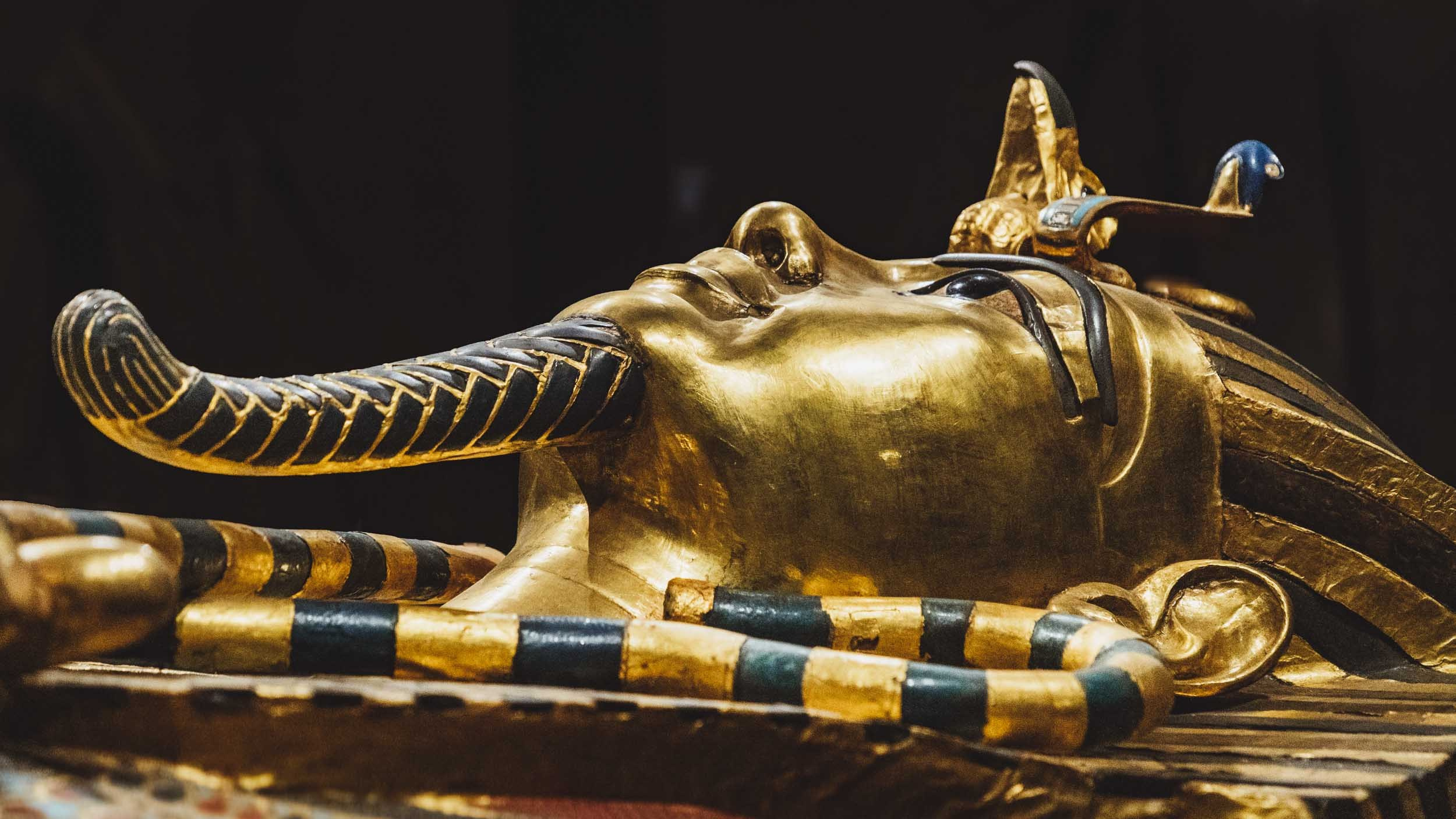 Egypt. The Andris