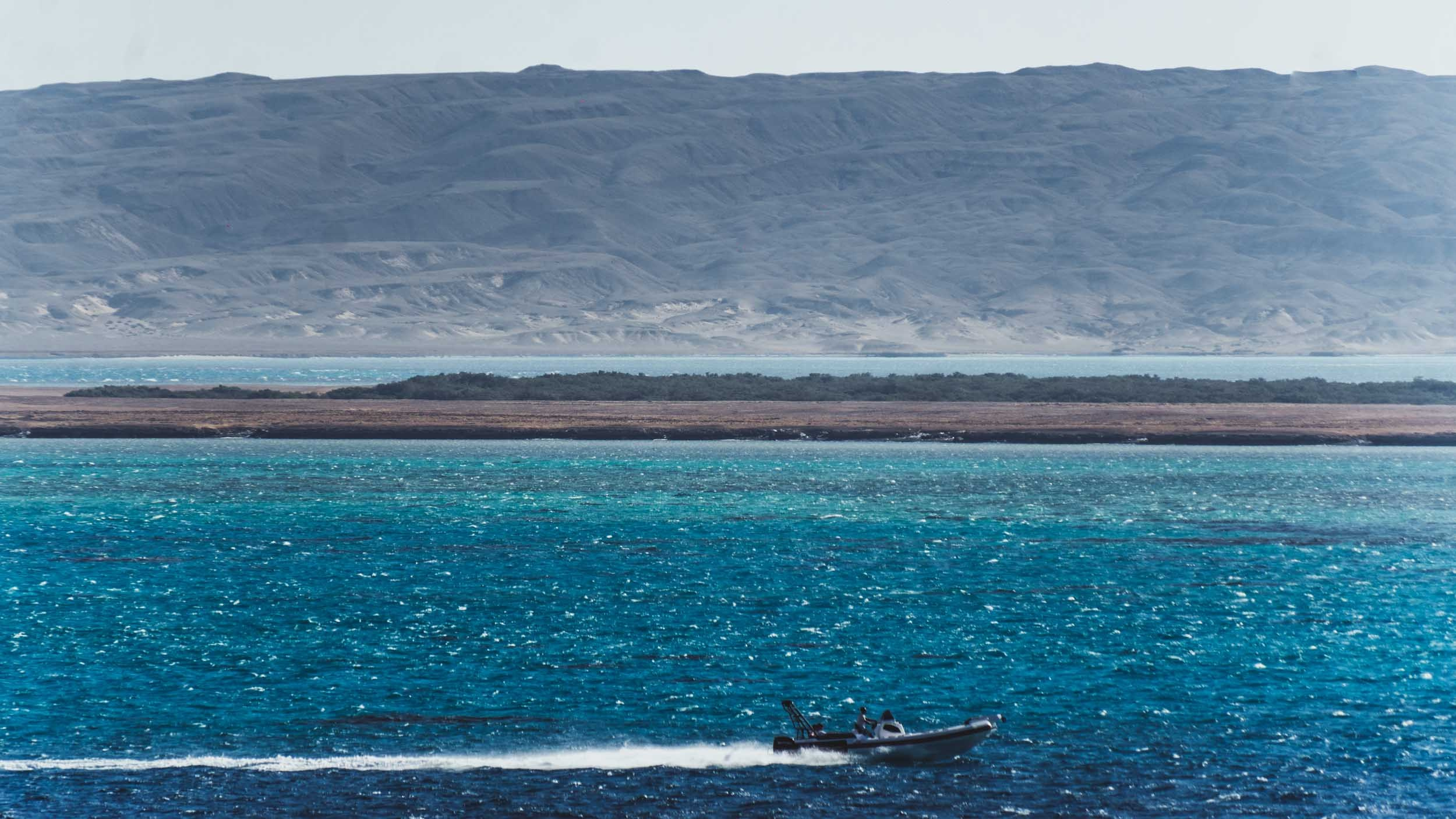 Egypt. The Andris