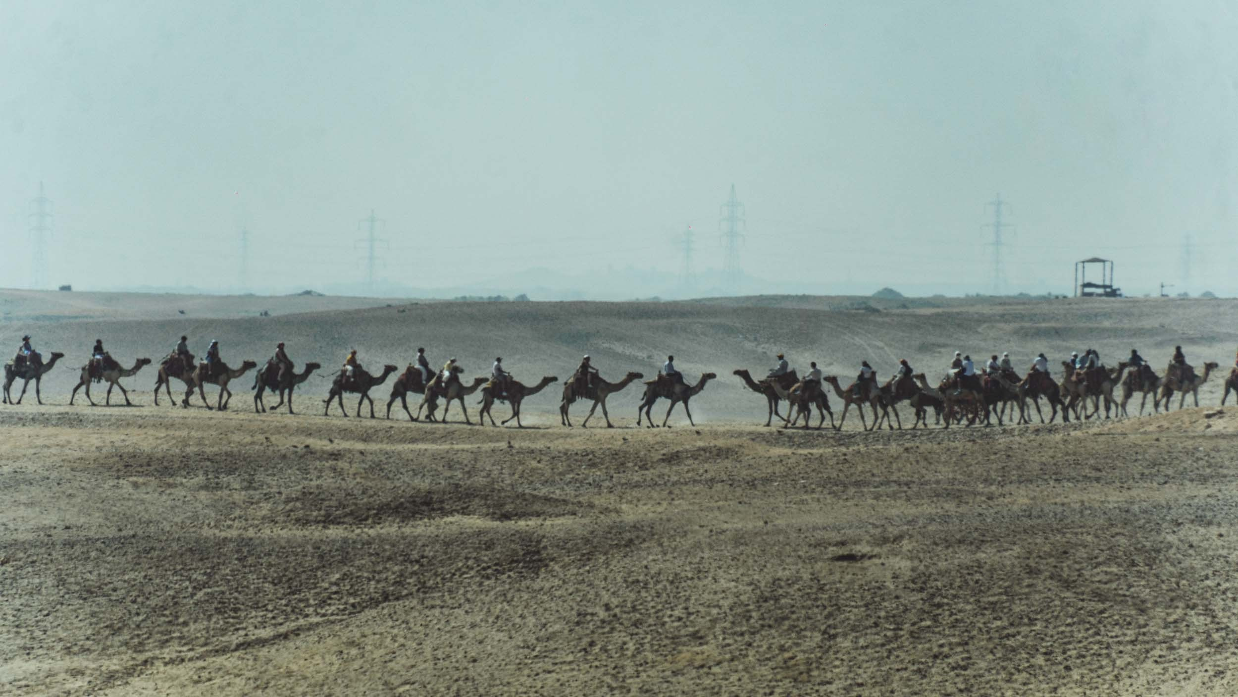 Egypt. The Andris