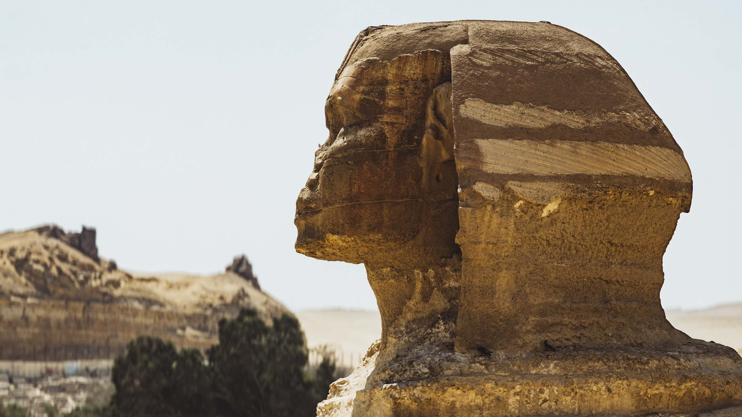 Egypt. The Andris