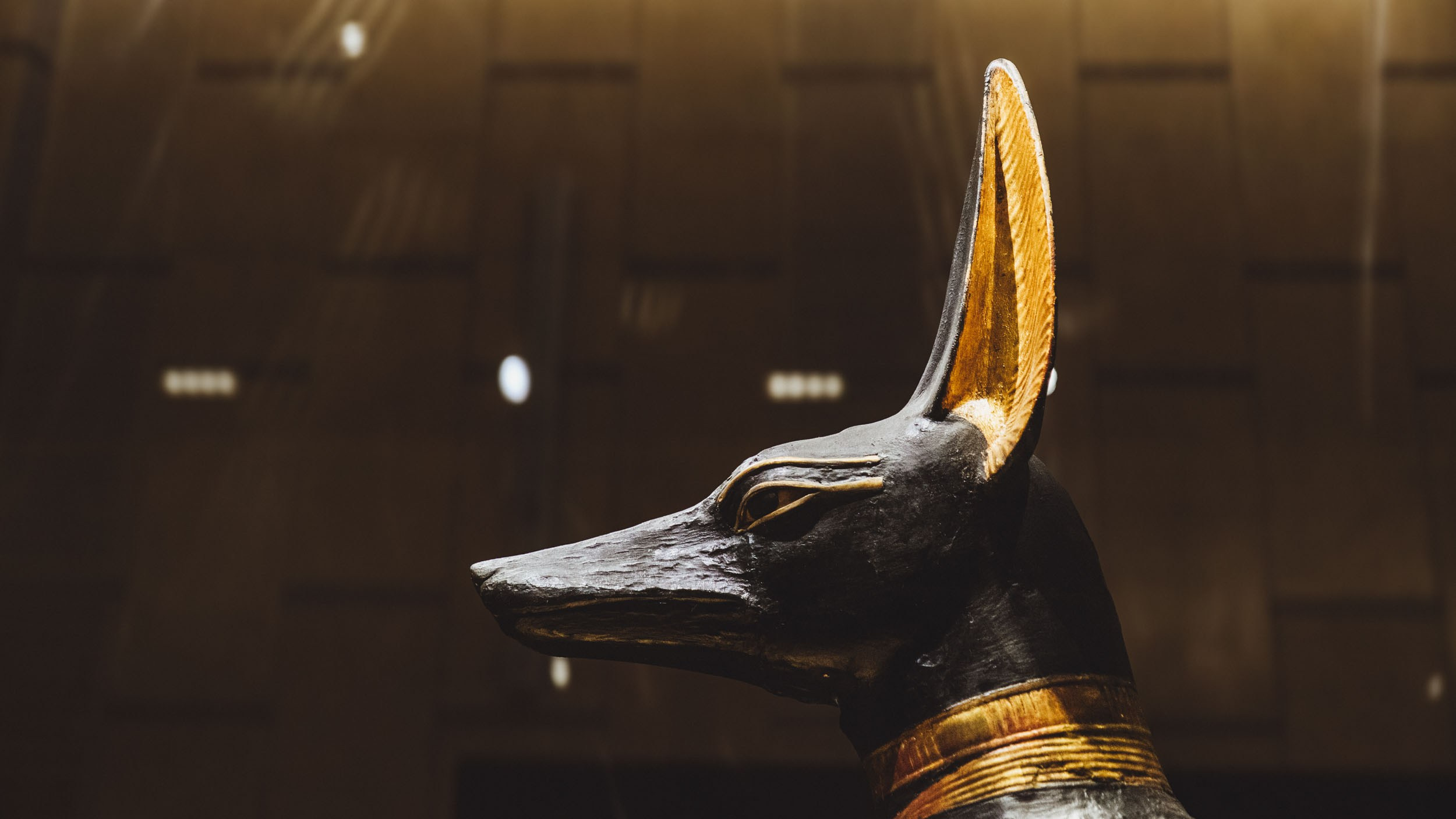 Egypt. The Andris