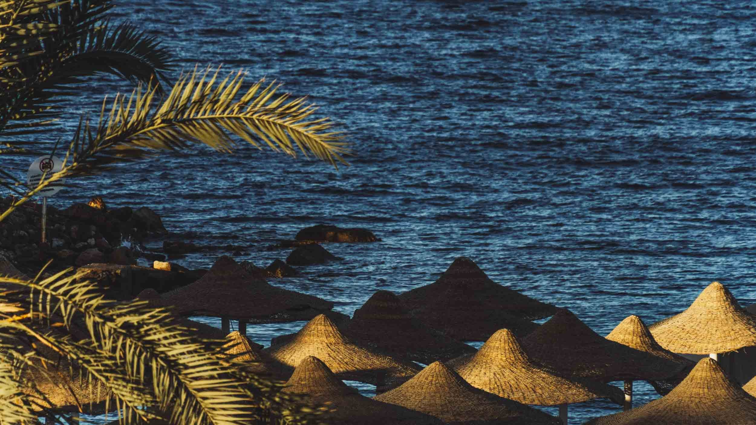 Egypt. The Andris