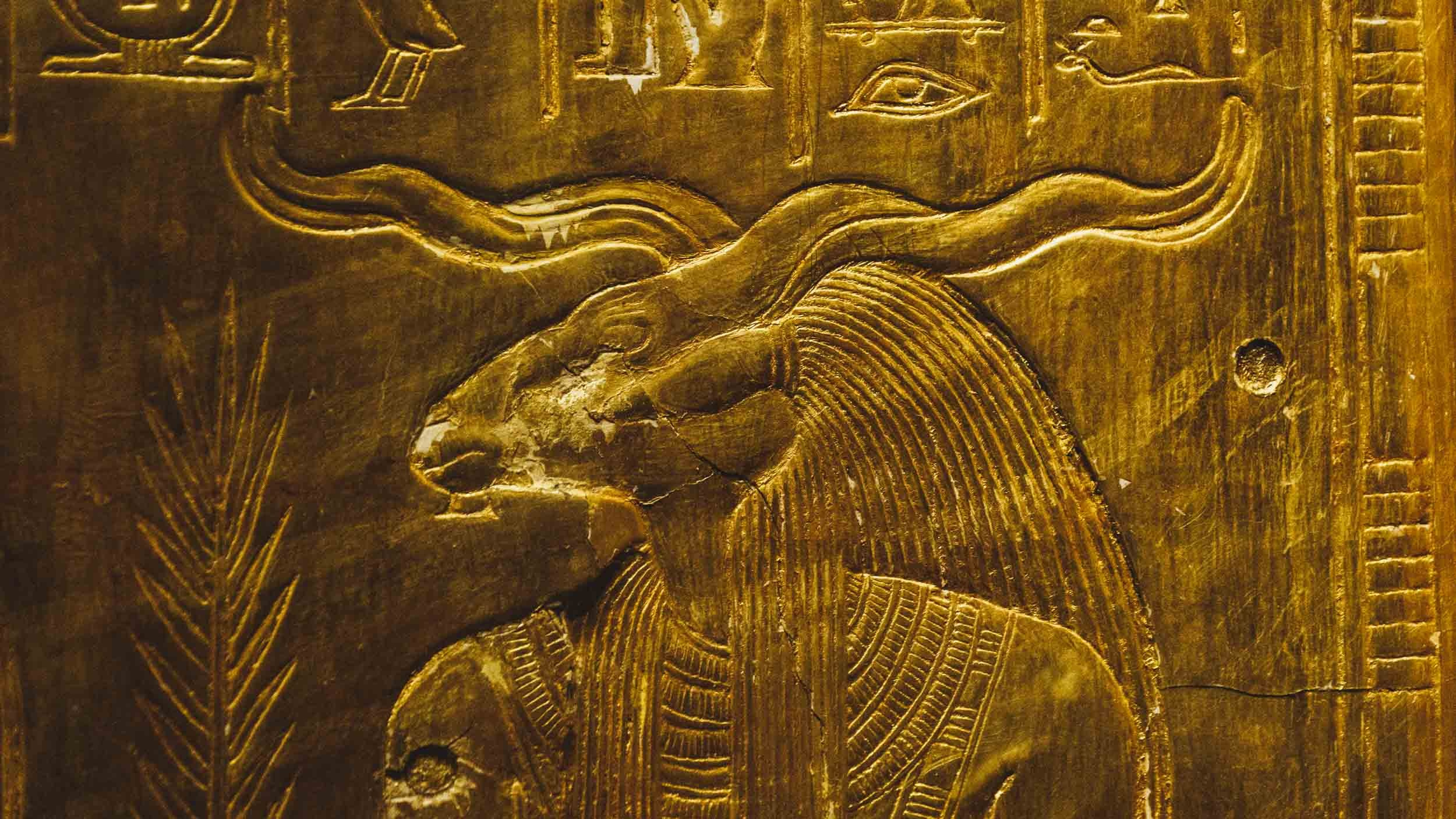 Egypt. The Andris