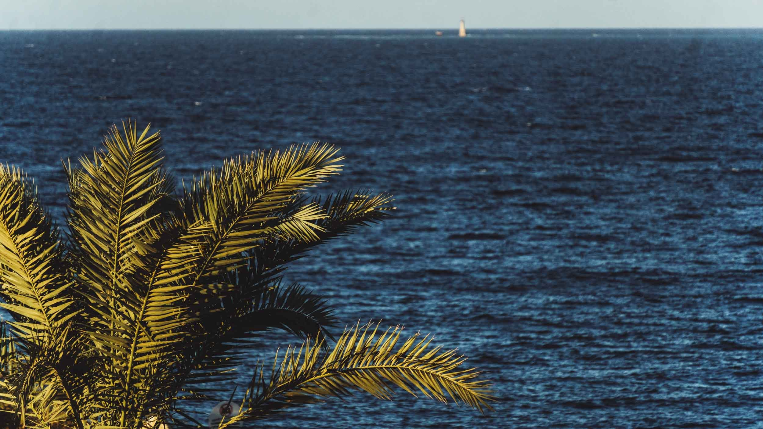 Egypt. The Andris