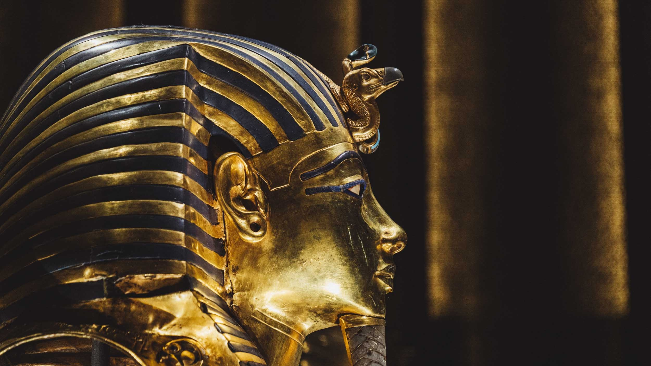 Egypt. The Andris