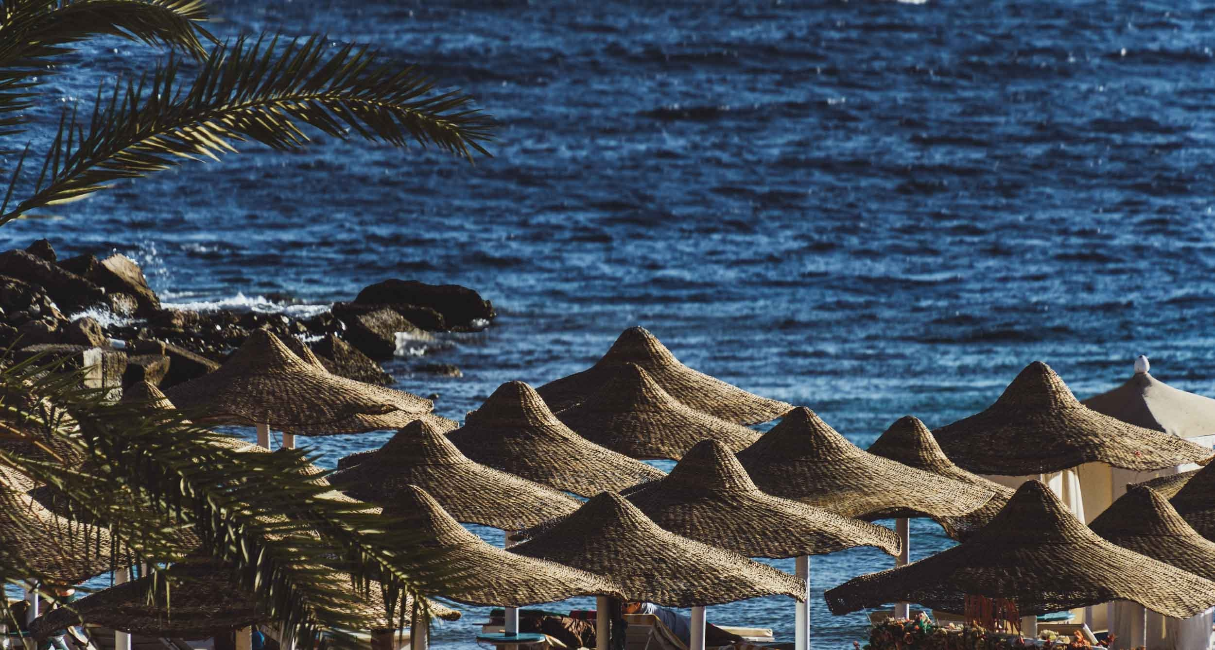 Egypt. The Andris