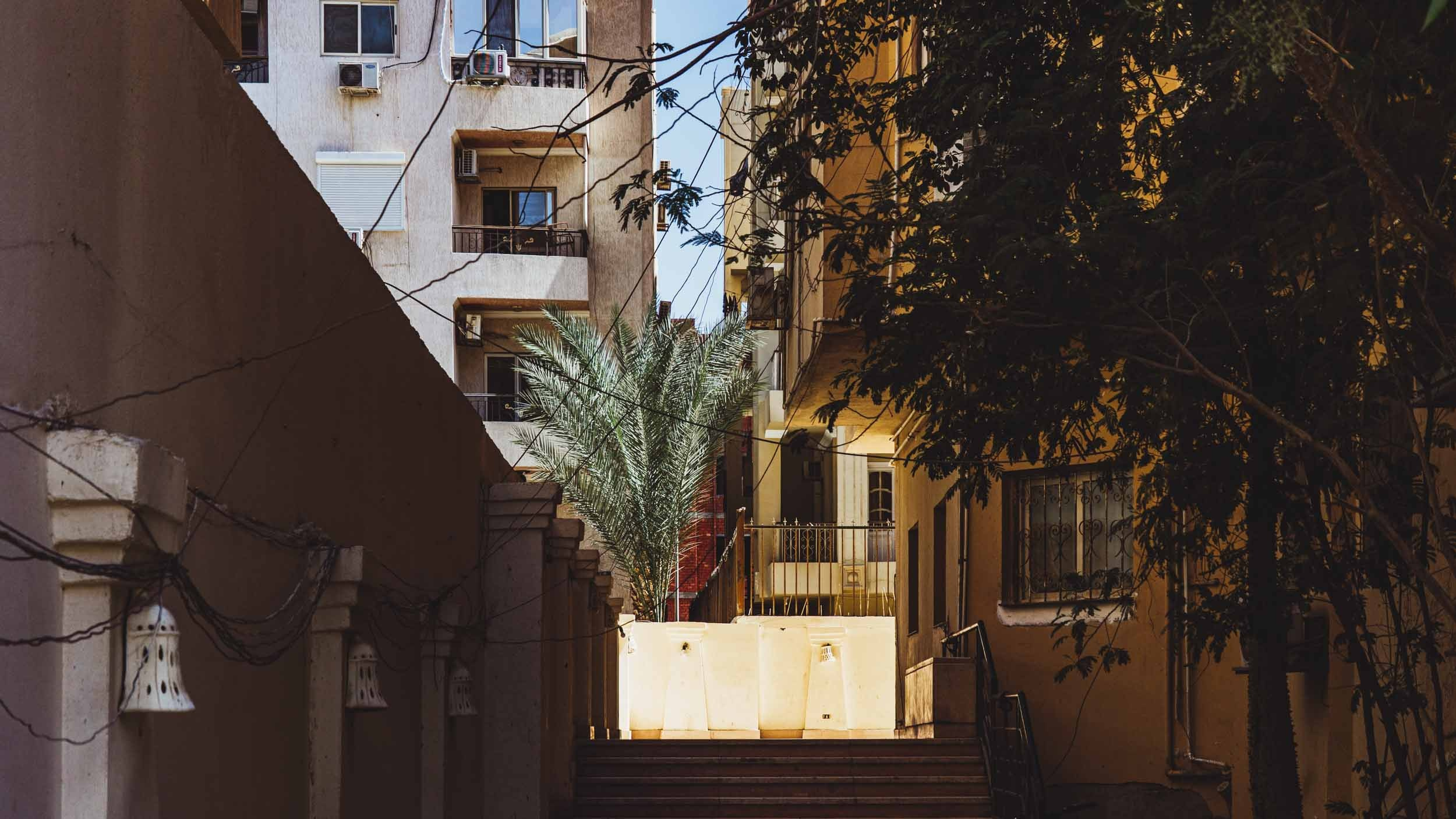 Egypt. The Andris