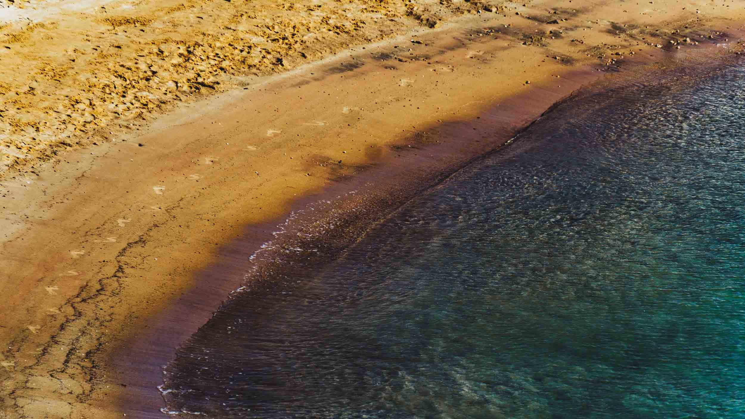 Egypt. The Andris