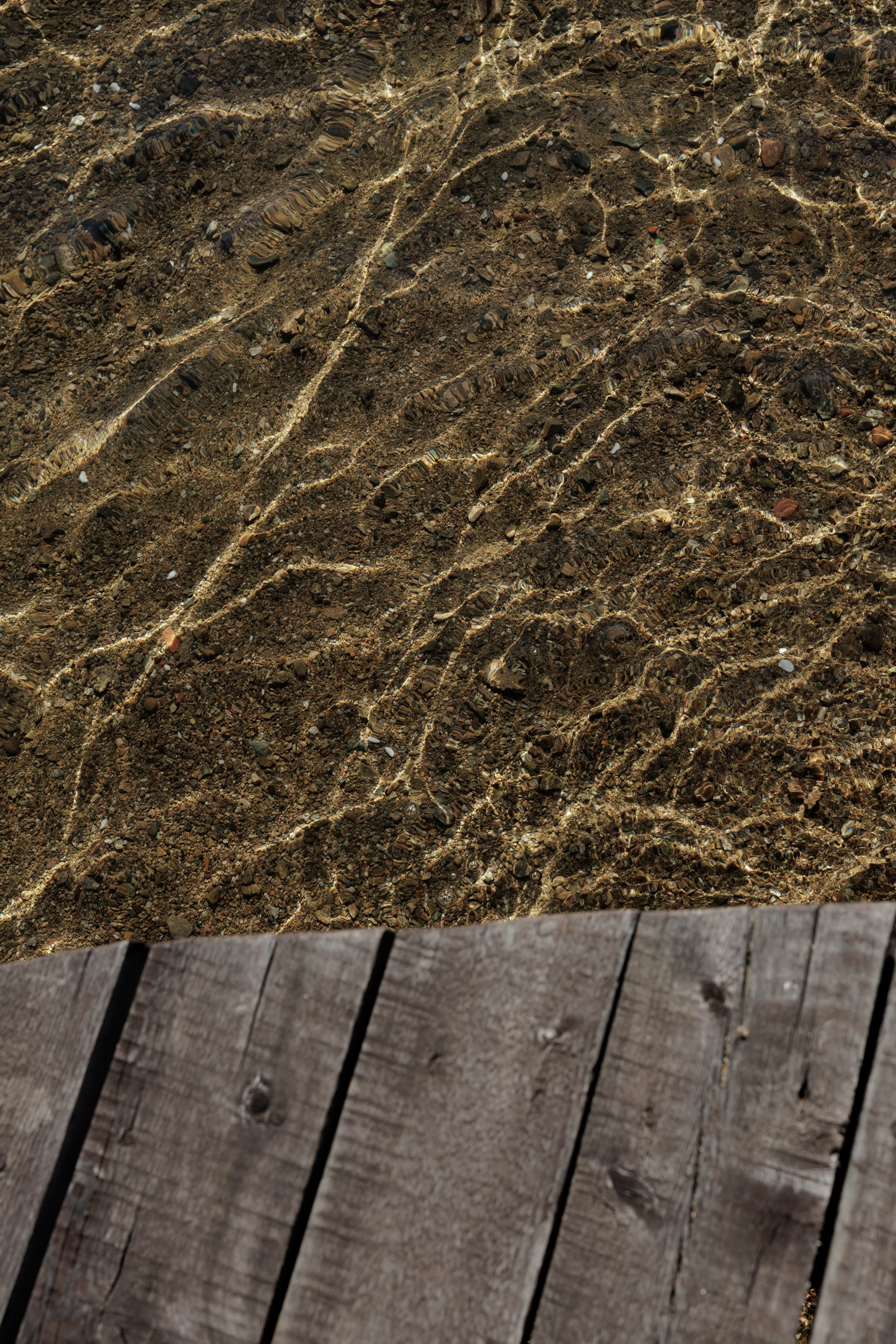 Олег и Мария. Свадебный фотограф