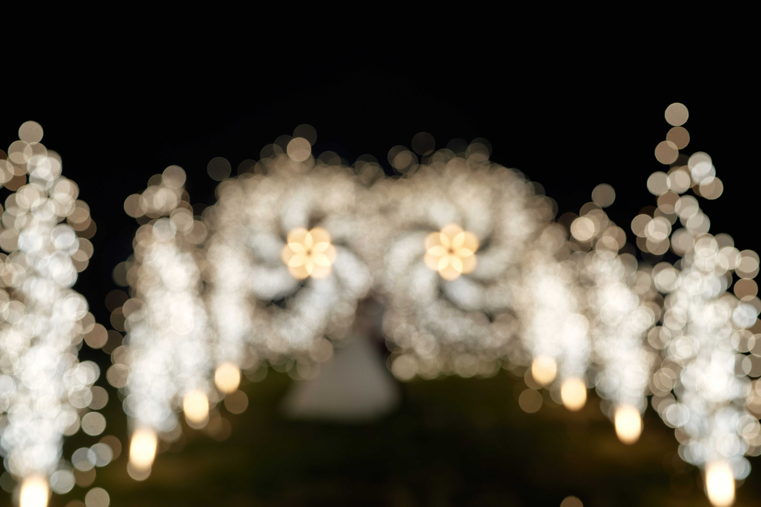 Владимир и Евгения 03.09.2022. Фотограф и видеограф Елена Хмелевская