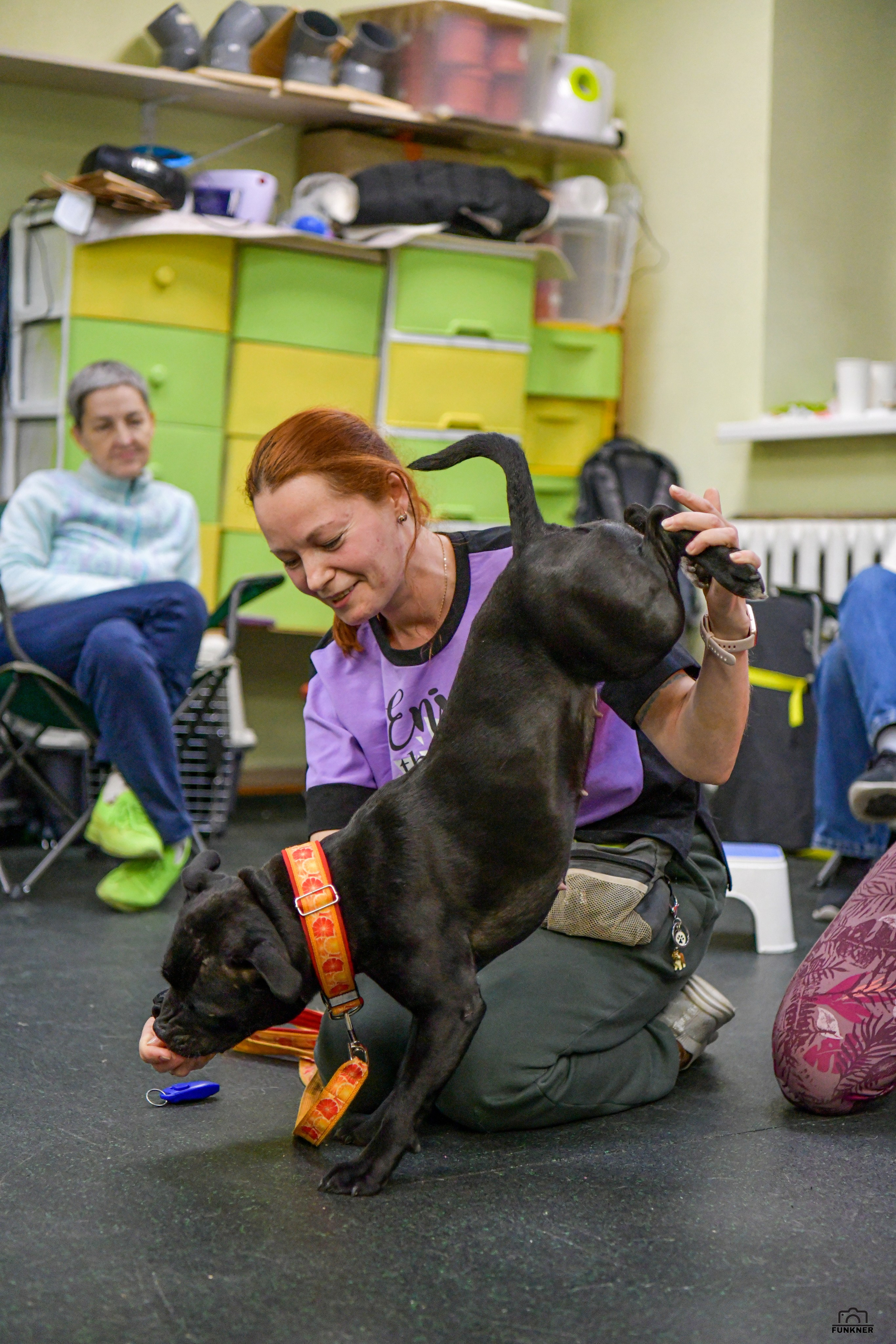 Кинологический клуб «Бодрый хвост». Свой взгляд через объектив