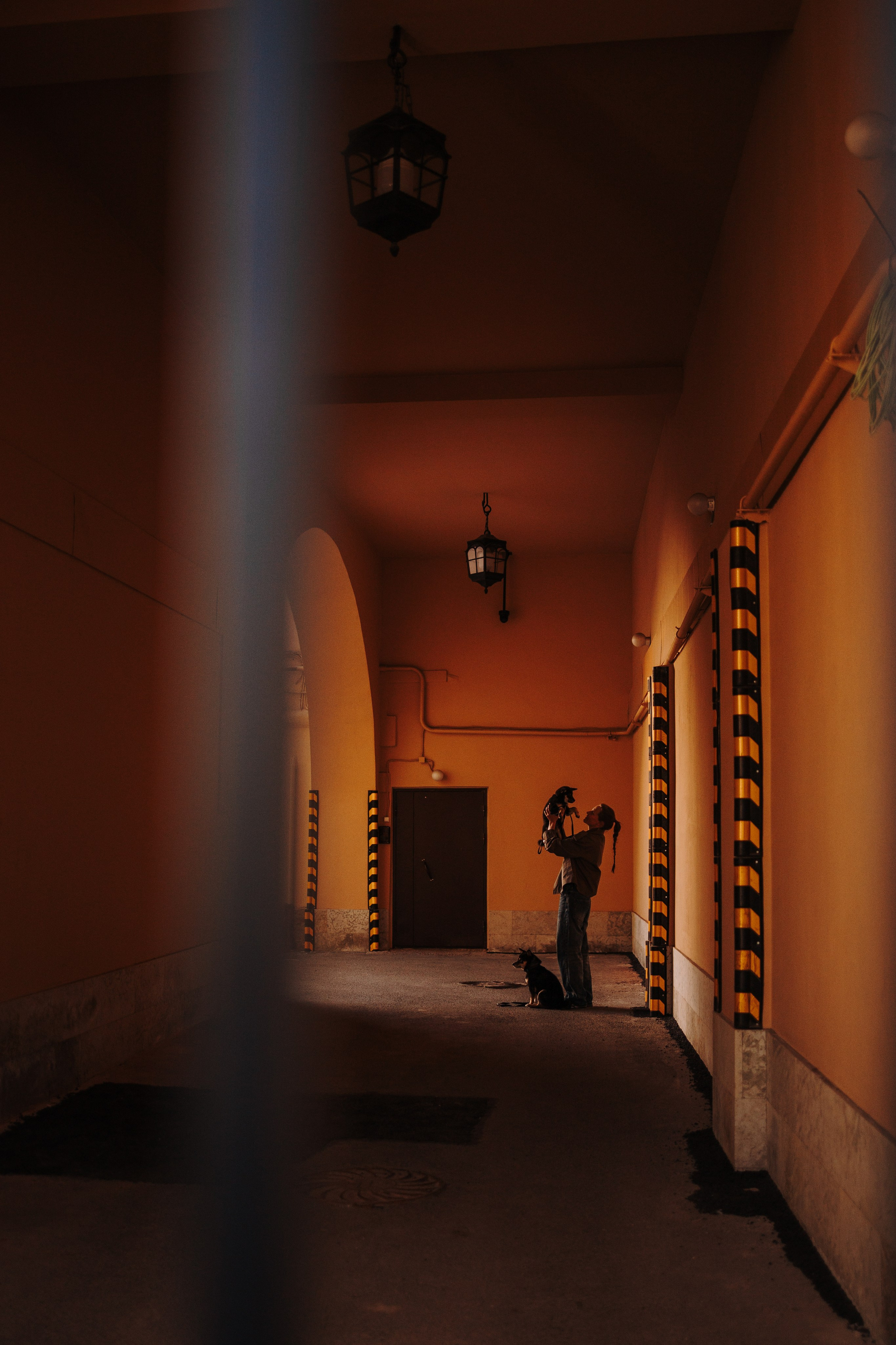 Даша и ее девочки. Фотограф — Анималист | Санкт-Петербург