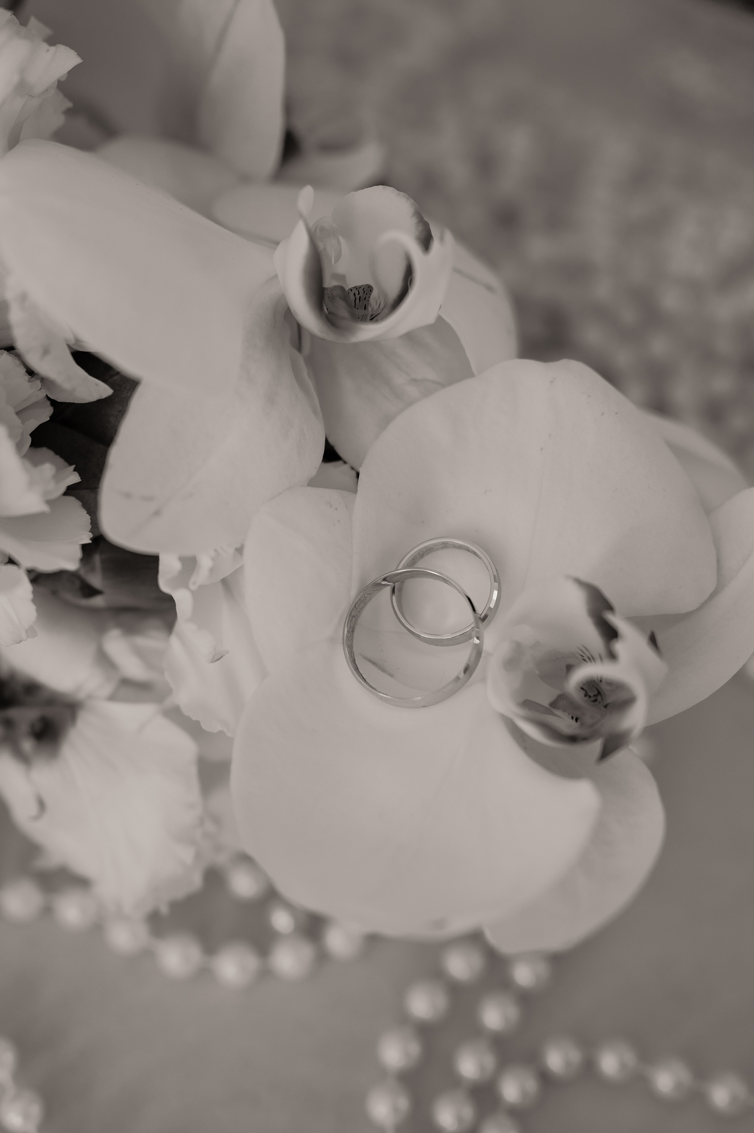 Павел и Полина. Свадебный и семейный фотограф в Краснодаре Алина Мельник