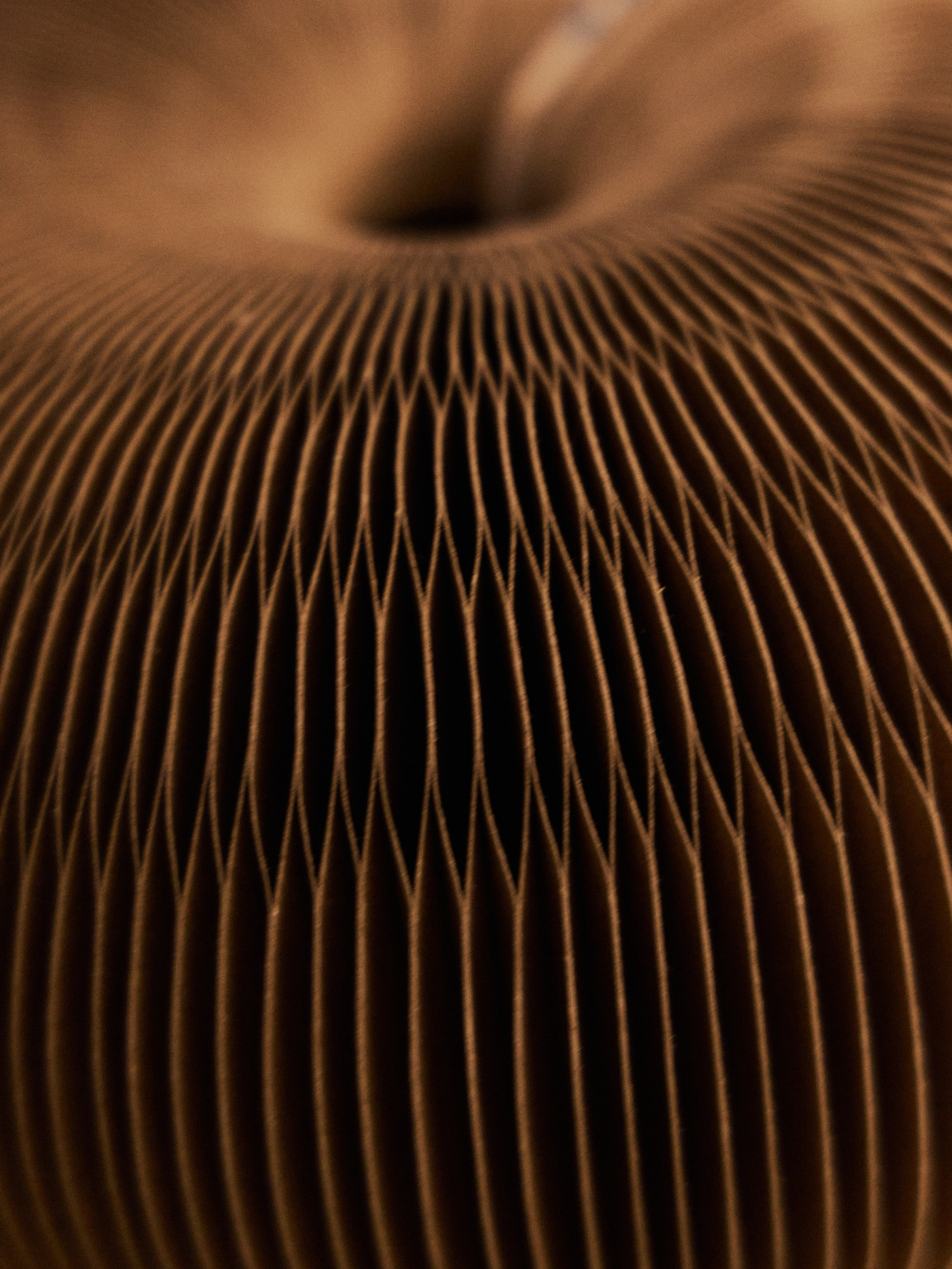 Другое 4. Jorgis — фотограф в Хургаде / обучение фотографии