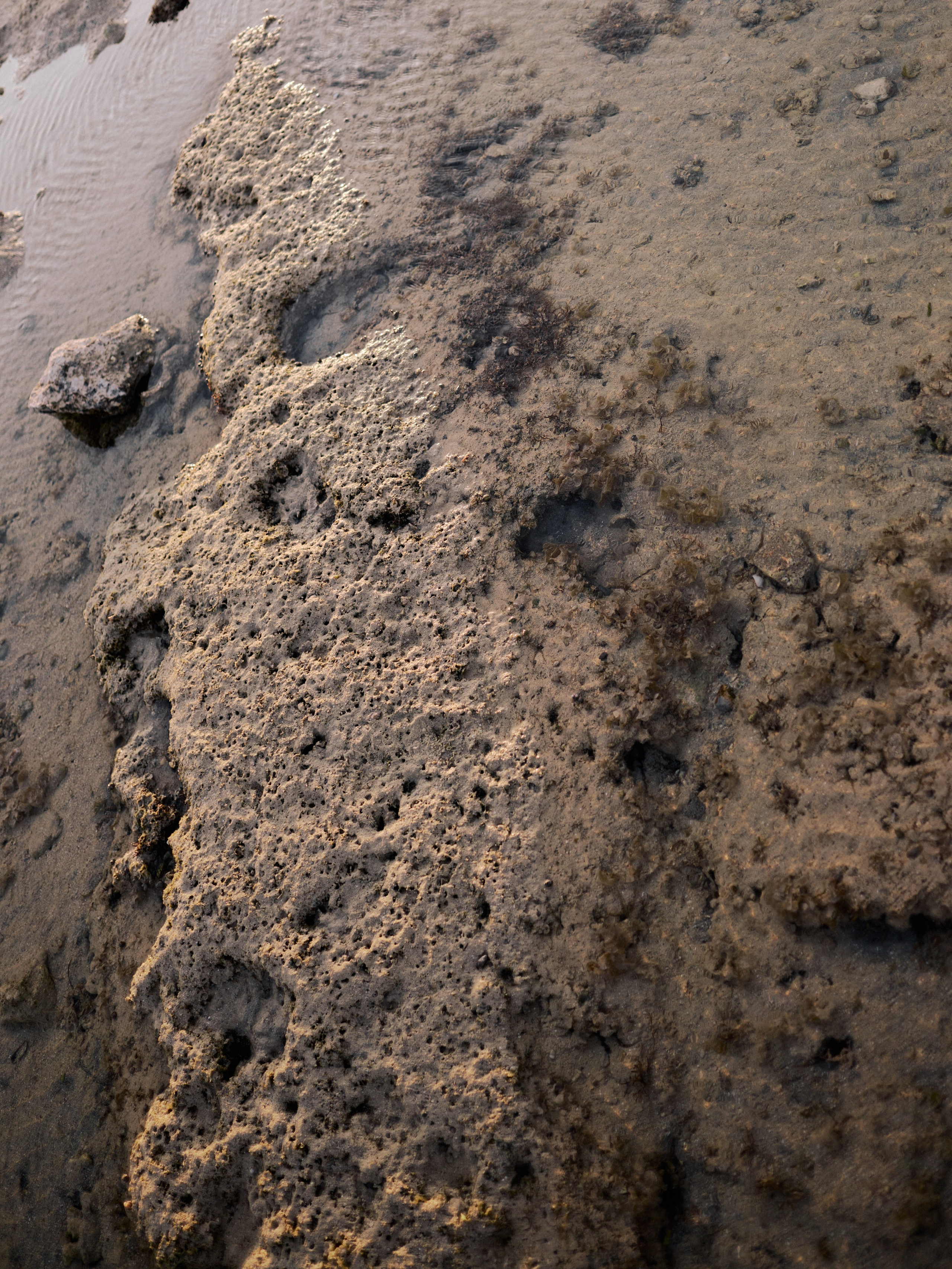 Другое 3. Jorgis Talè — photographer, kind person, teacher of arts and other mag